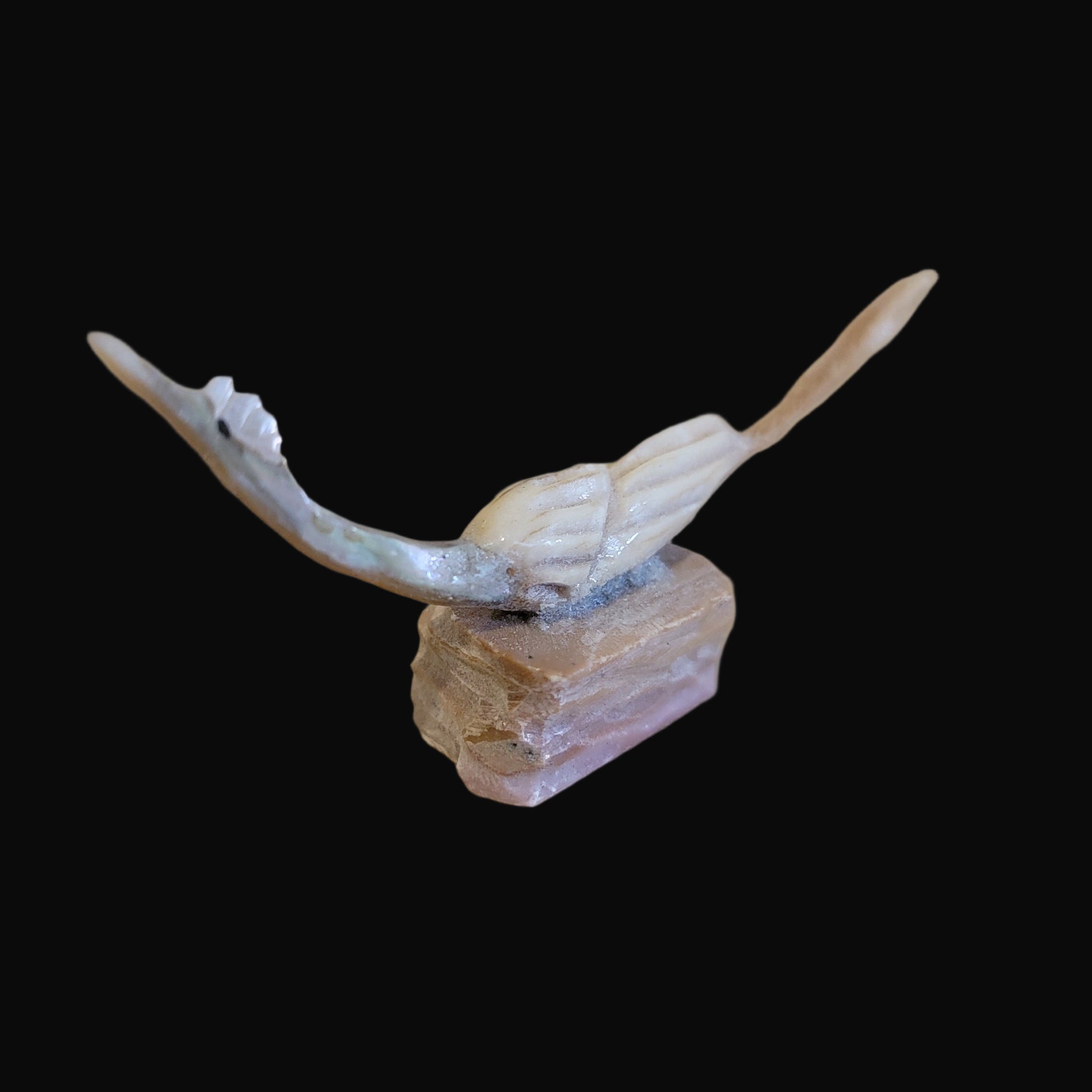 Multi Stone and Shell Roadrunner Zuni Fetish