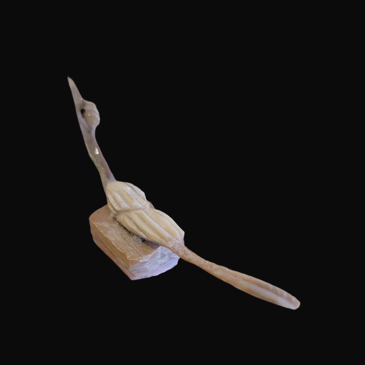 Multi Stone and Shell Roadrunner Zuni Fetish