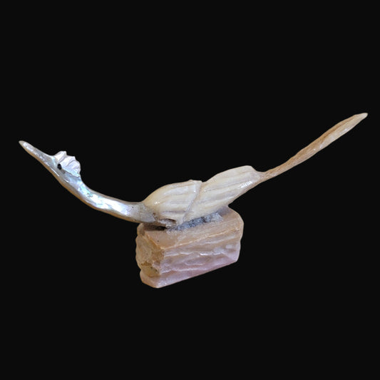 Multi Stone and Shell Roadrunner Zuni Fetish