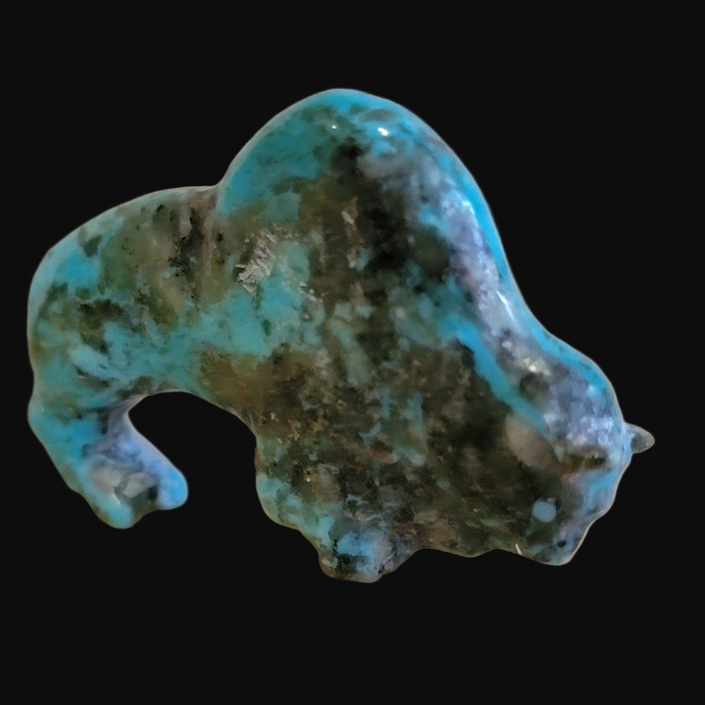 Elegant Turquoise Bison/Buffalo w/ Heartline Zuni Fetish