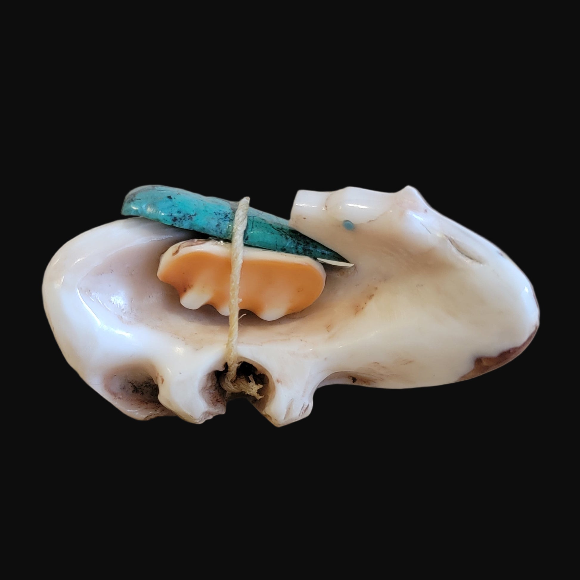 Looking Backwards Spiny Oyster Shell Medicine Bear w/Pack Zuni Fetish