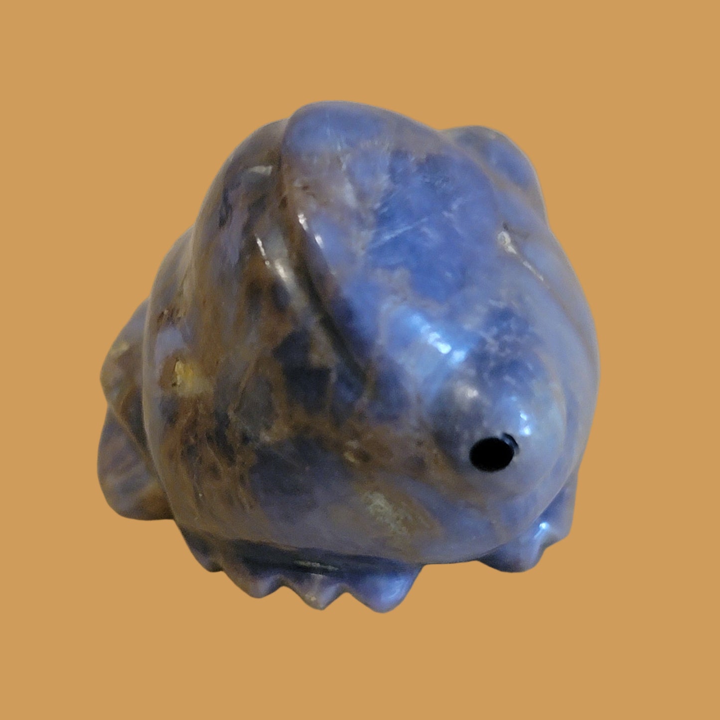 roy davis navajo violite toad