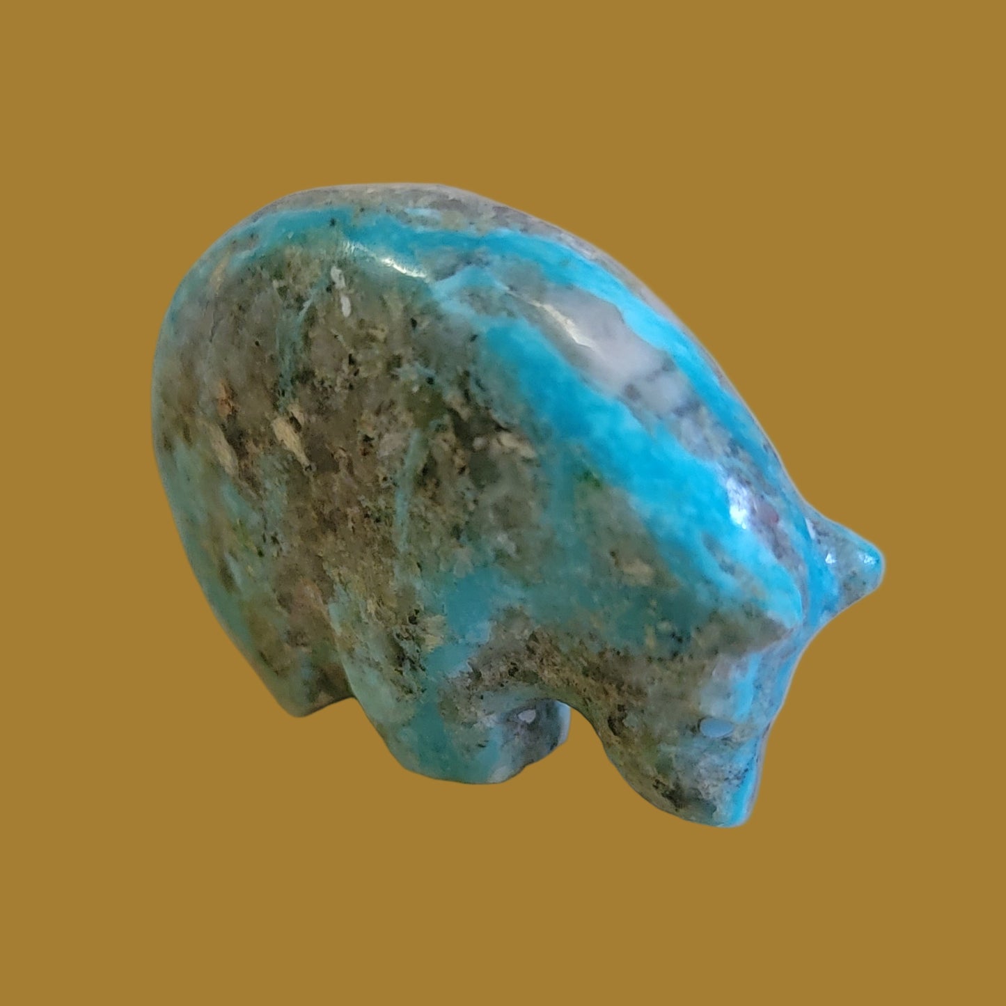 Turquoise Medicine Bear Zuni Fetish