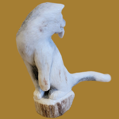 Maxx Laate's Iconic Cougar Zuni Fetish