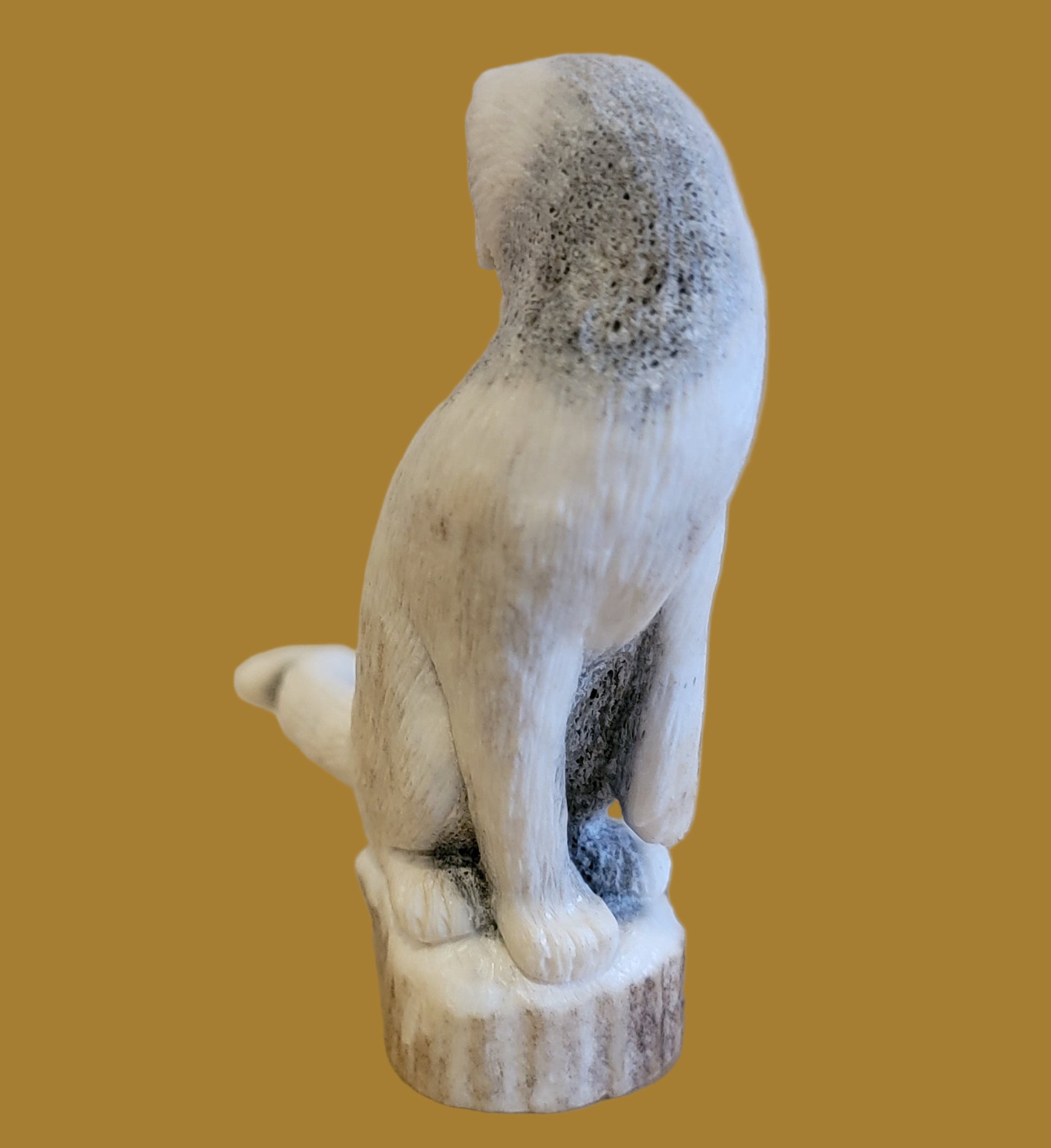 Maxx Laate's Iconic Cougar Zuni Fetish