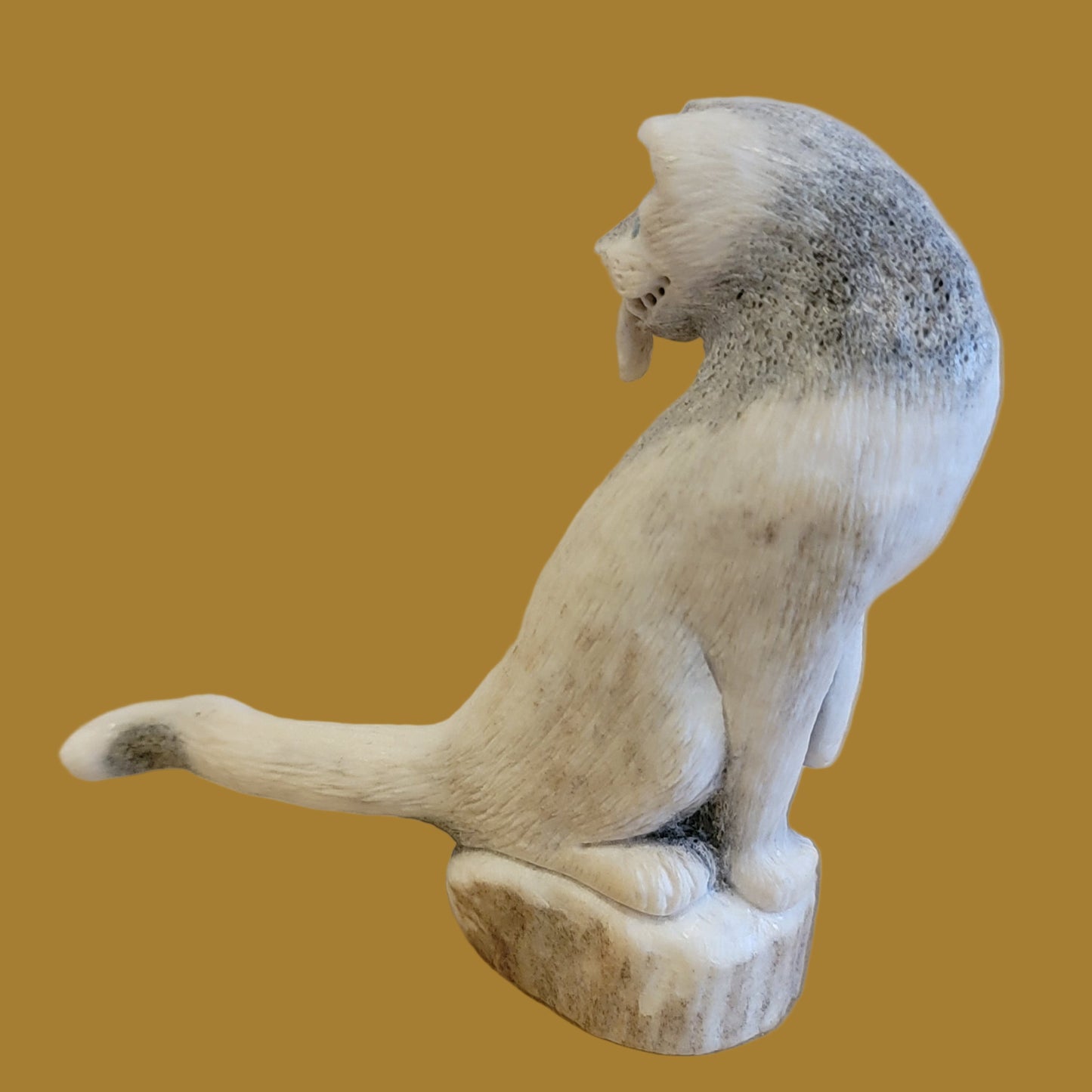 Maxx Laate's Iconic Cougar Zuni Fetish