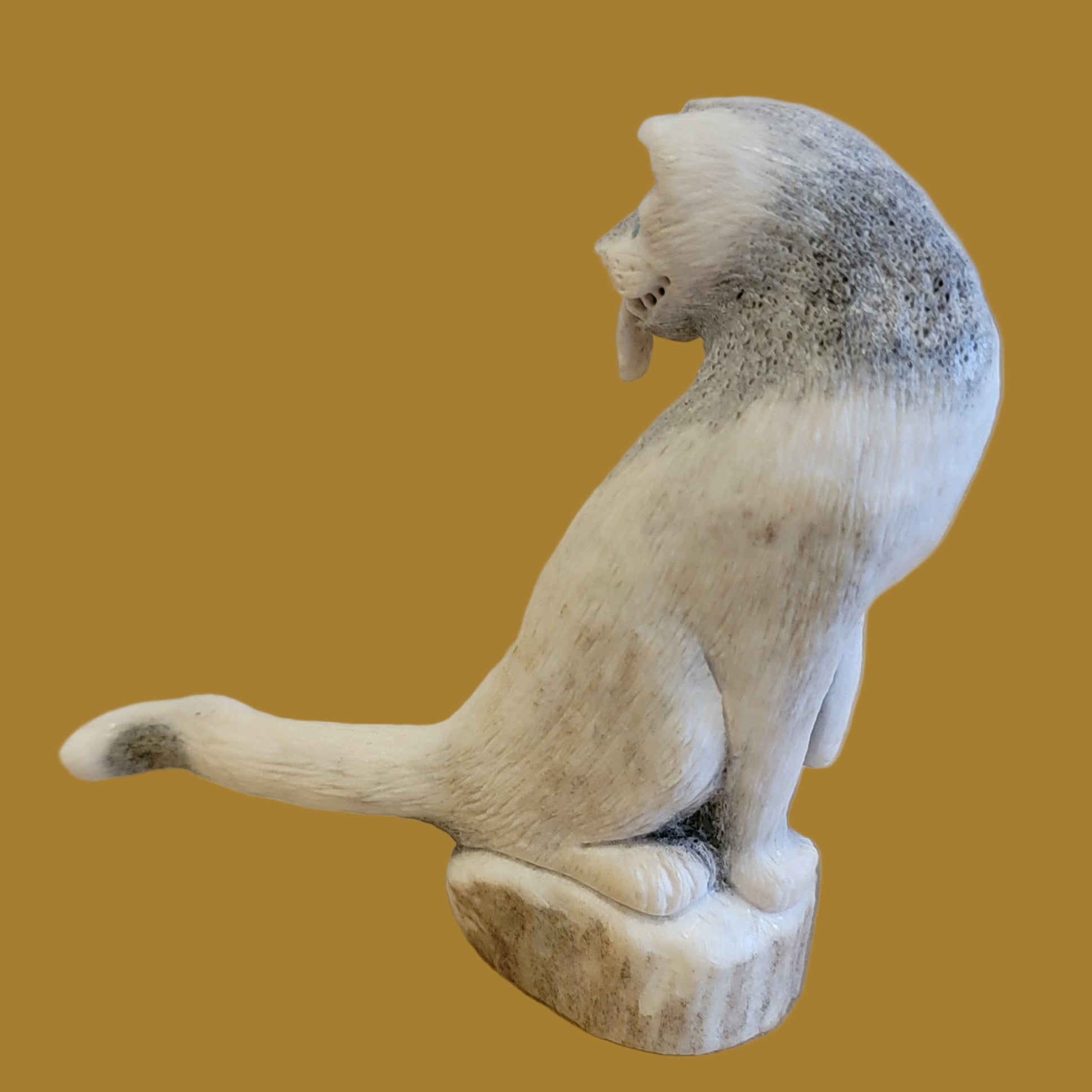 Maxx Laate's Iconic Cougar Zuni Fetish