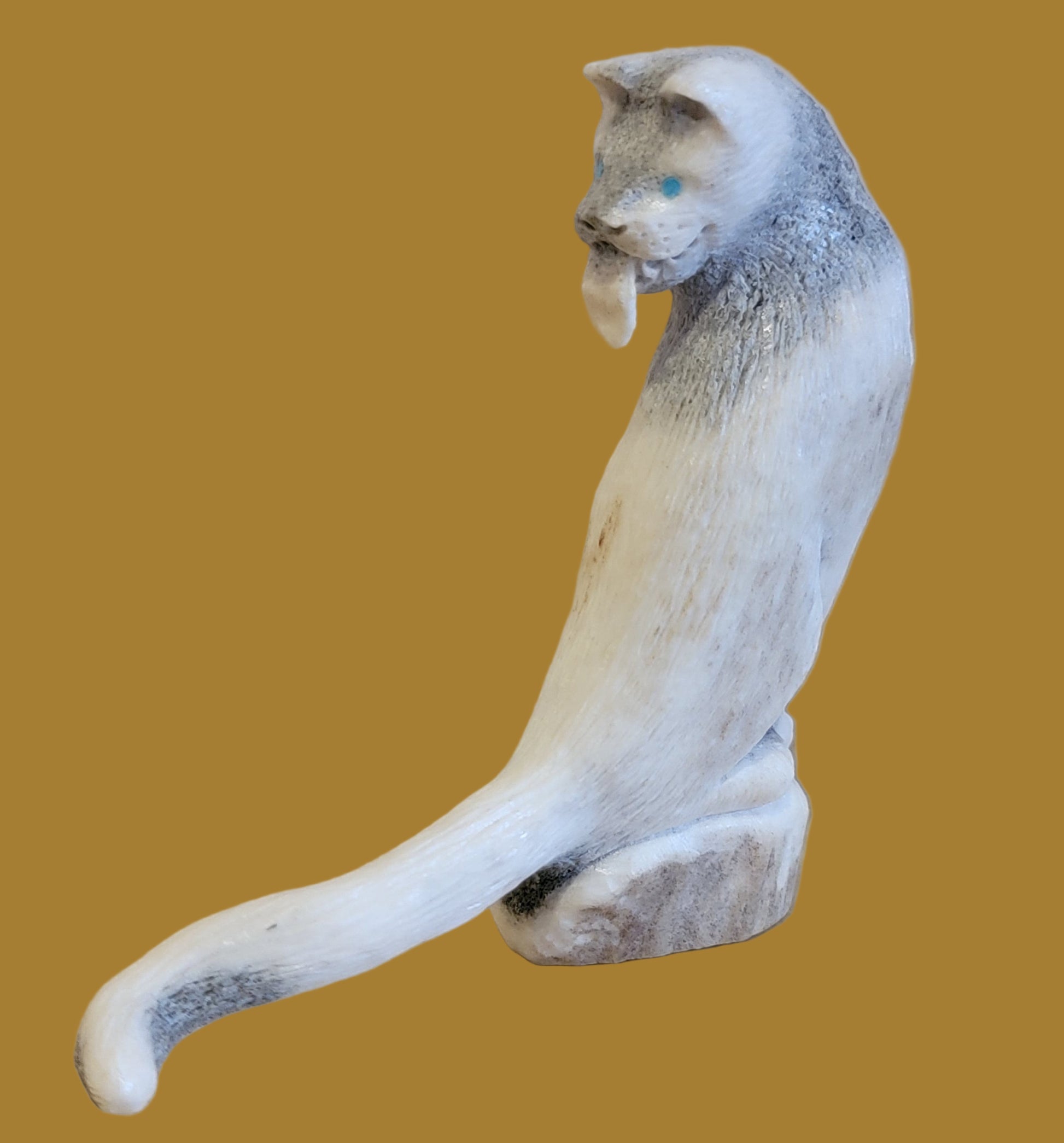 Maxx Laate's Iconic Cougar Zuni Fetish