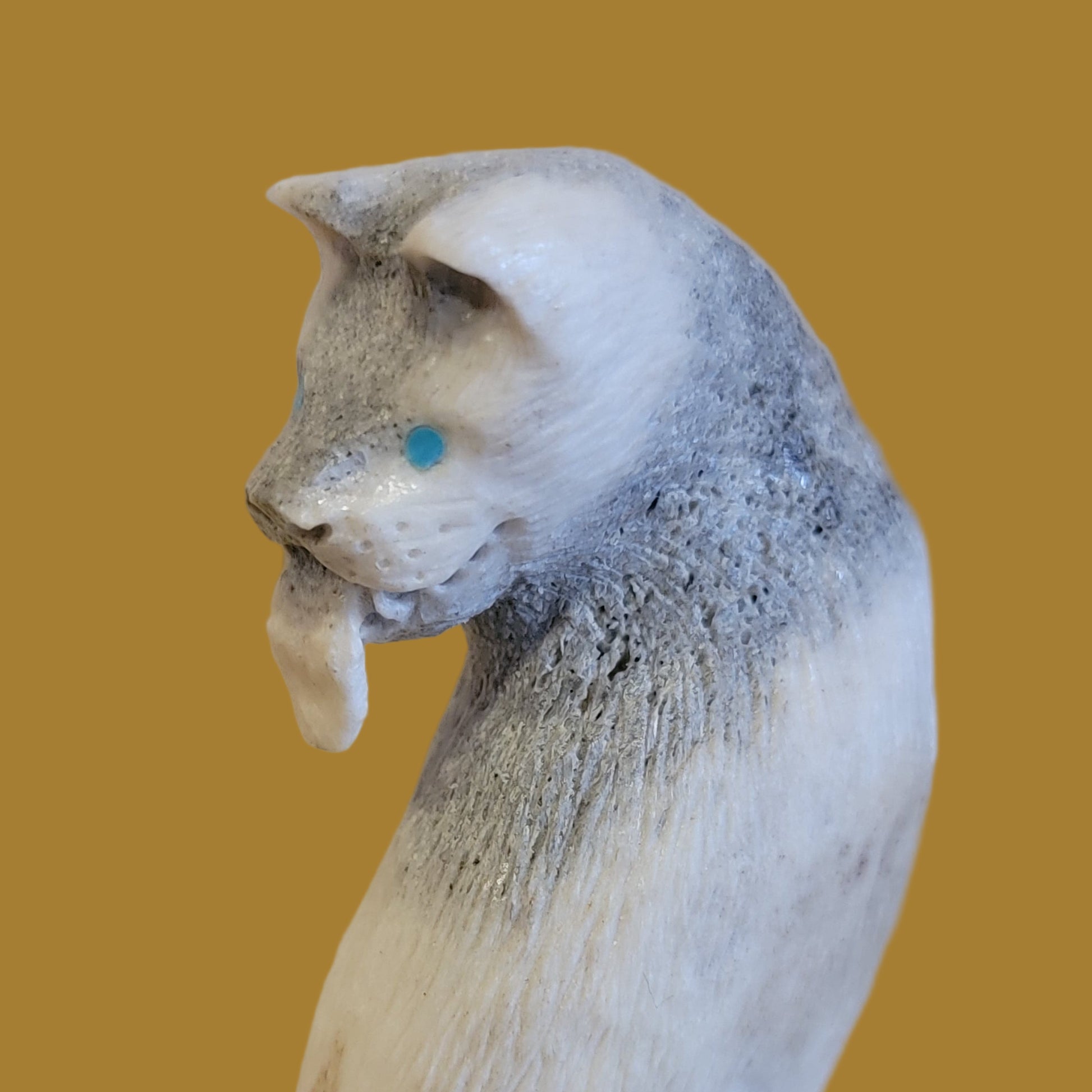 Maxx Laate's Iconic Cougar Zuni Fetish