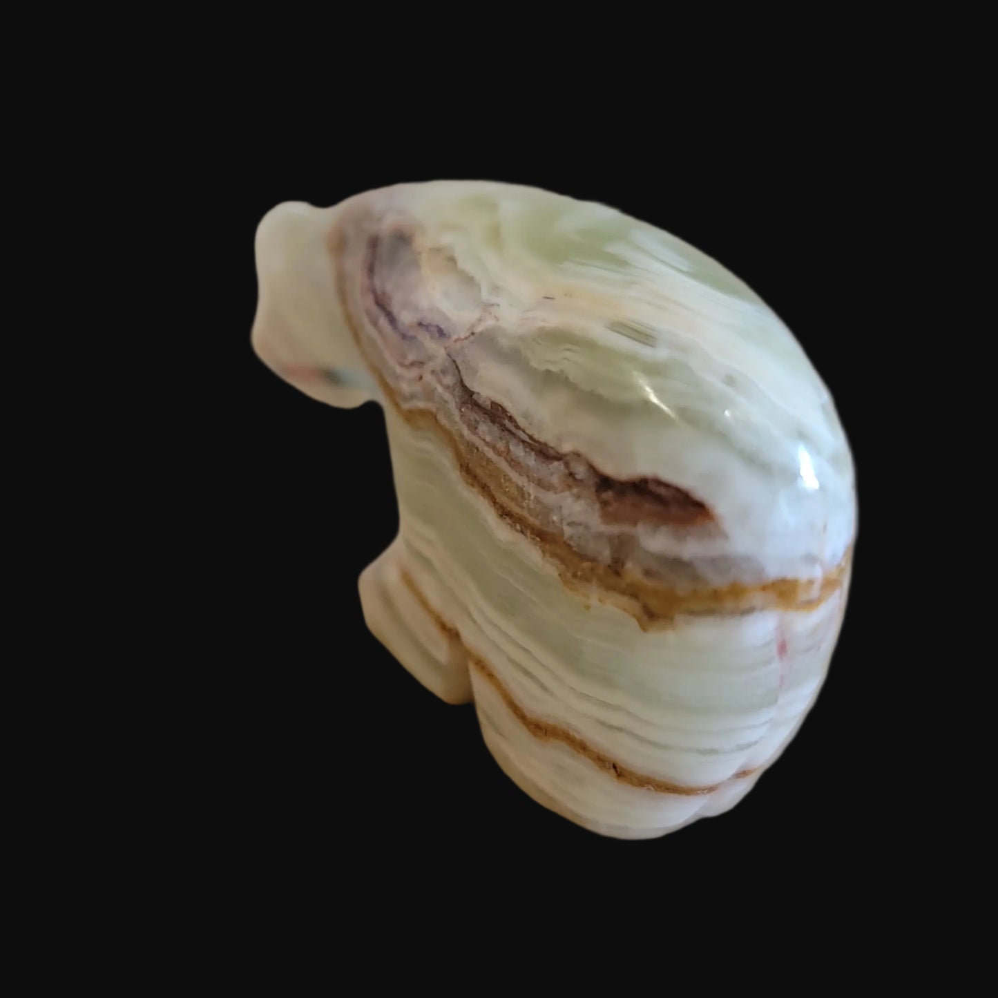 Onyx Bear w/Colorful Heartline Zuni Fetish