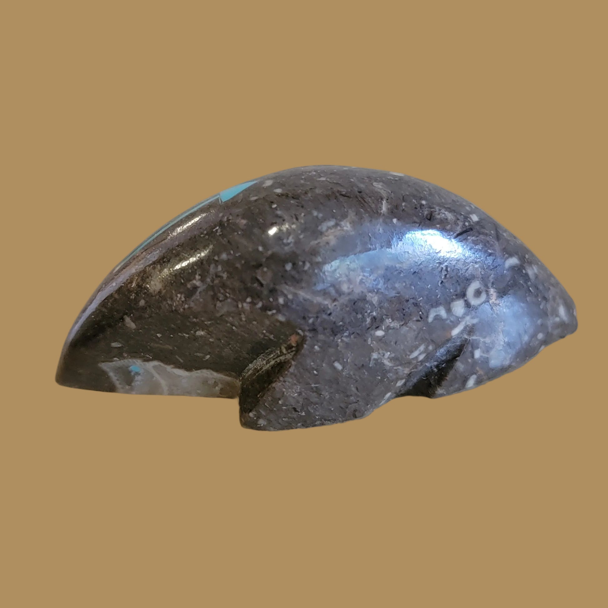 Petosky Zuni Fetish Mole