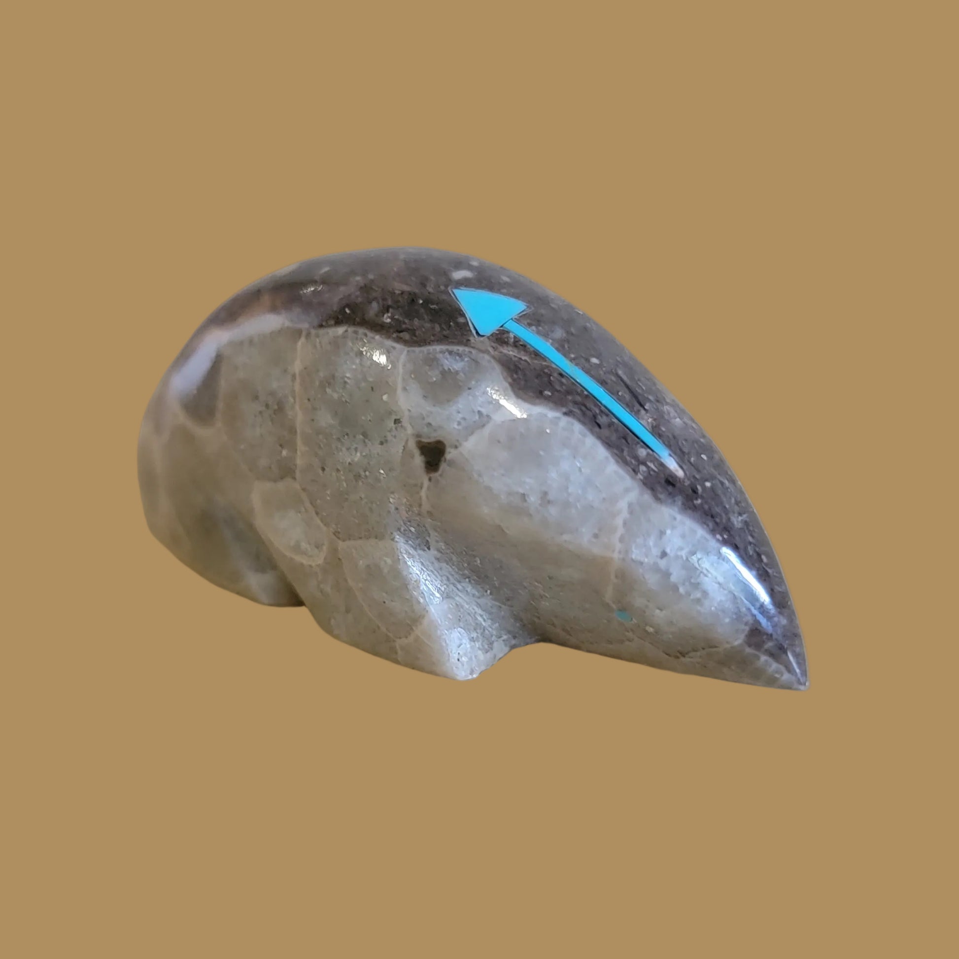 Petosky Zuni Fetish Mole