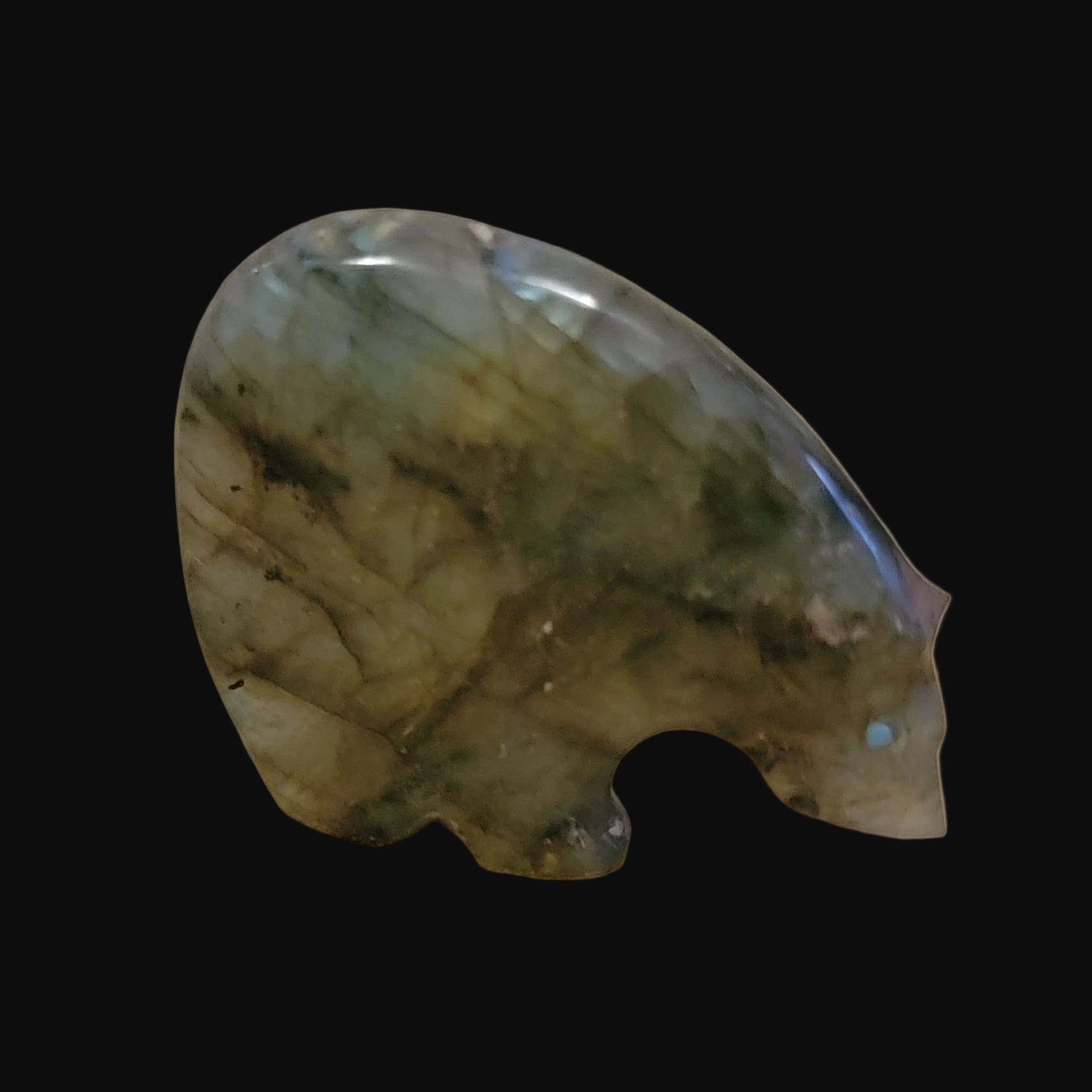 Extraterrestrial Labradorite Medicine Bear Zuni Fetish