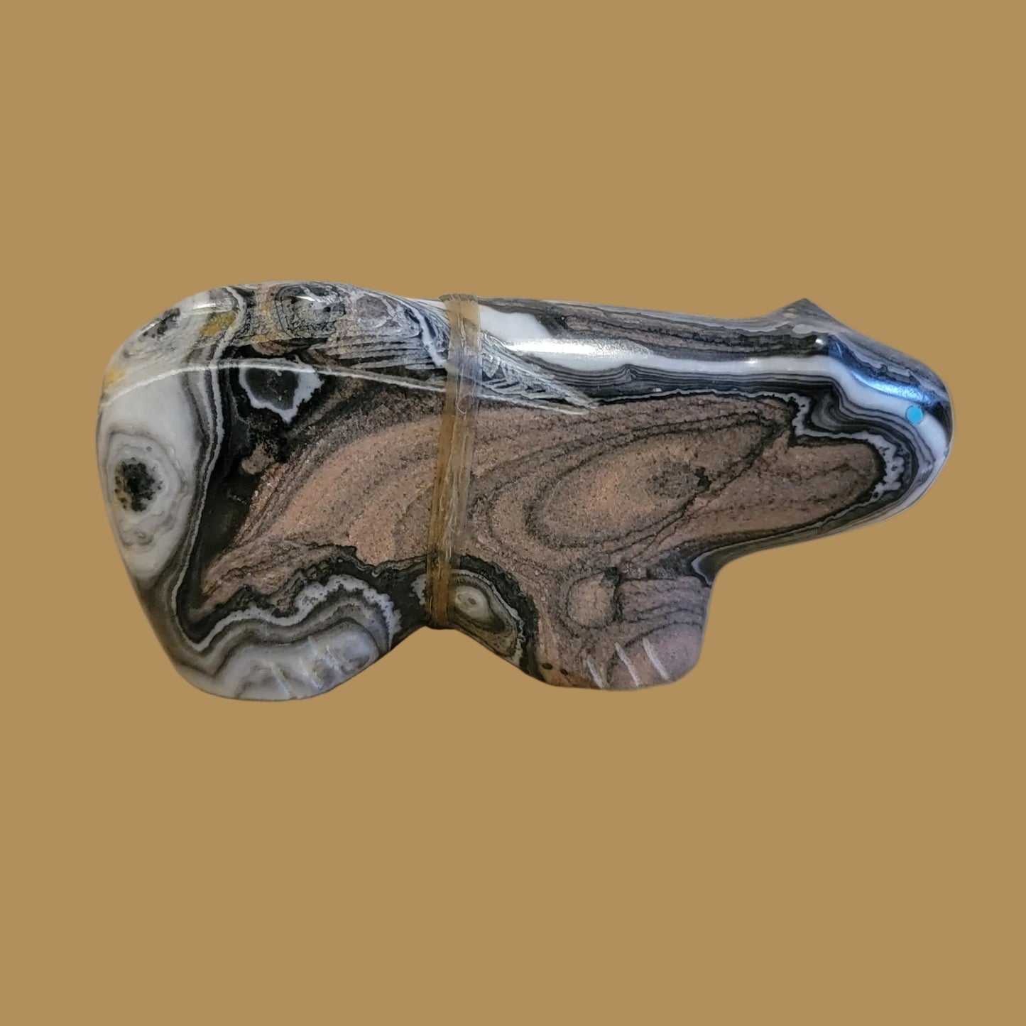 Zebra Calcite Mountain Lion w/Side Offering Zuni Fetish