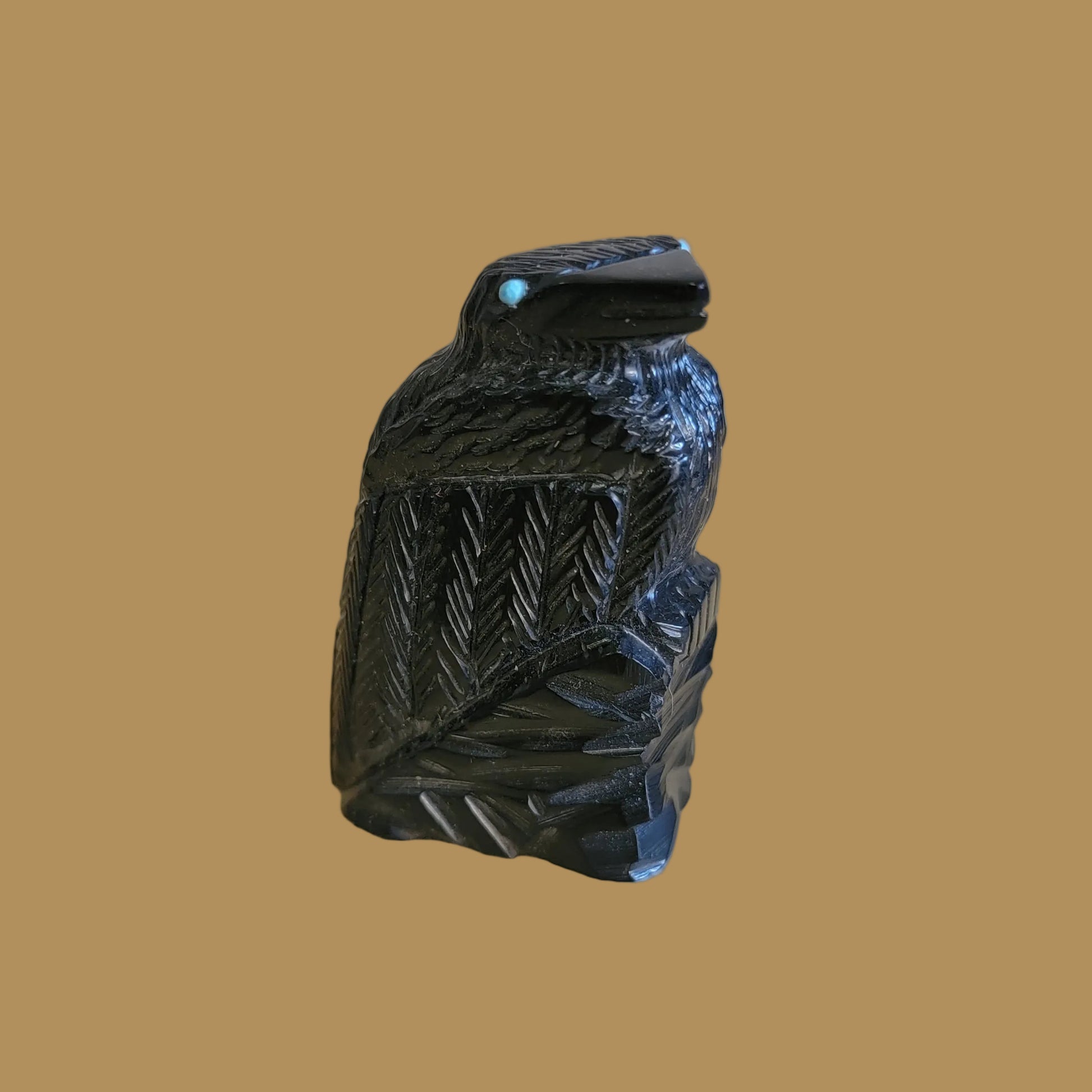 Healing Zuni Fetish Raven