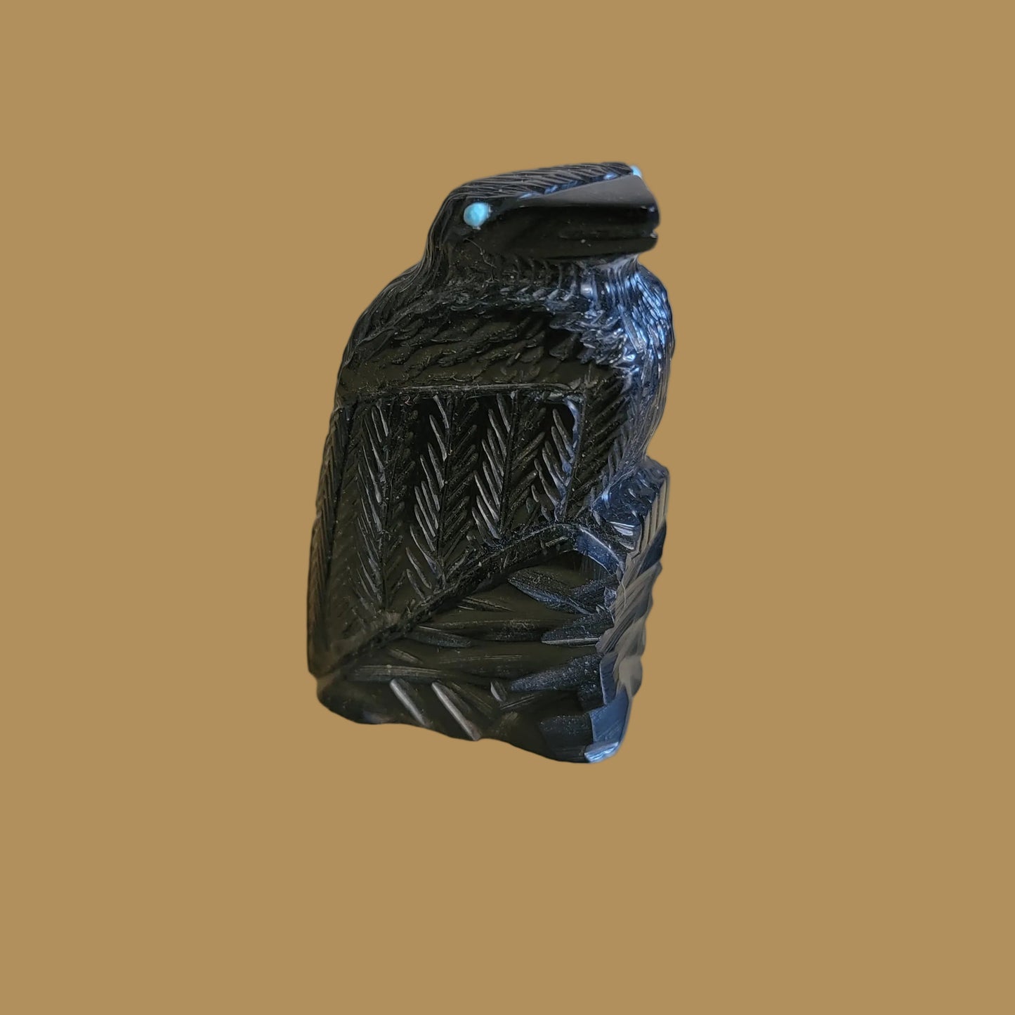 Healing Zuni Fetish Raven