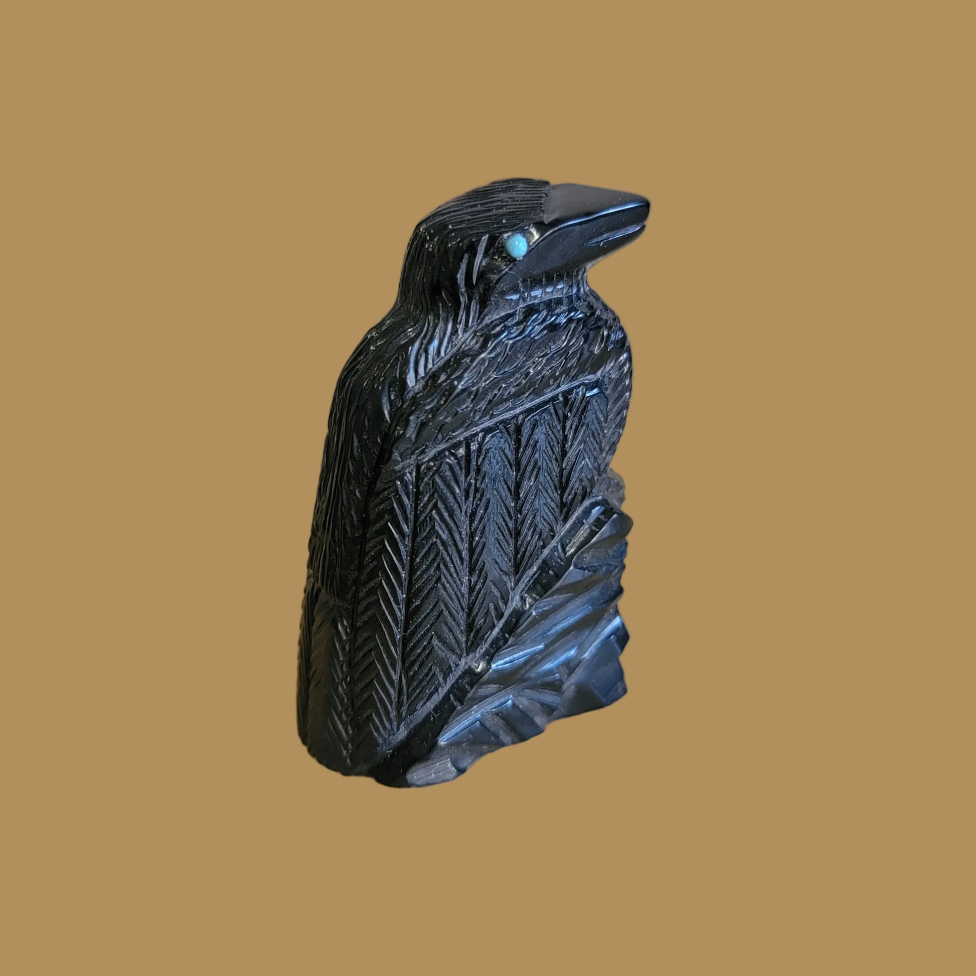 Healing Zuni Fetish Raven