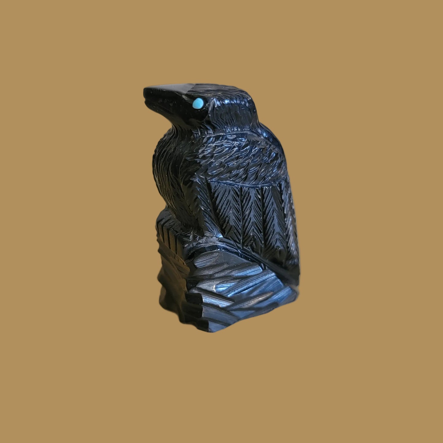 Healing Zuni Fetish Raven