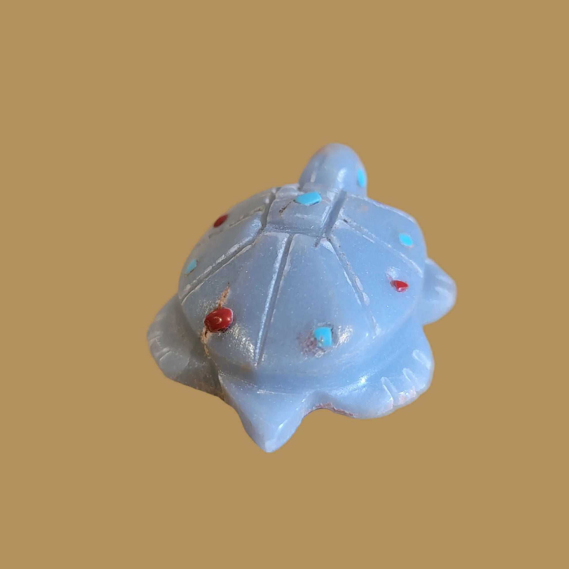 Angelite Turtle w/ Turquoise and Coral Appointments Zuni Fetish
