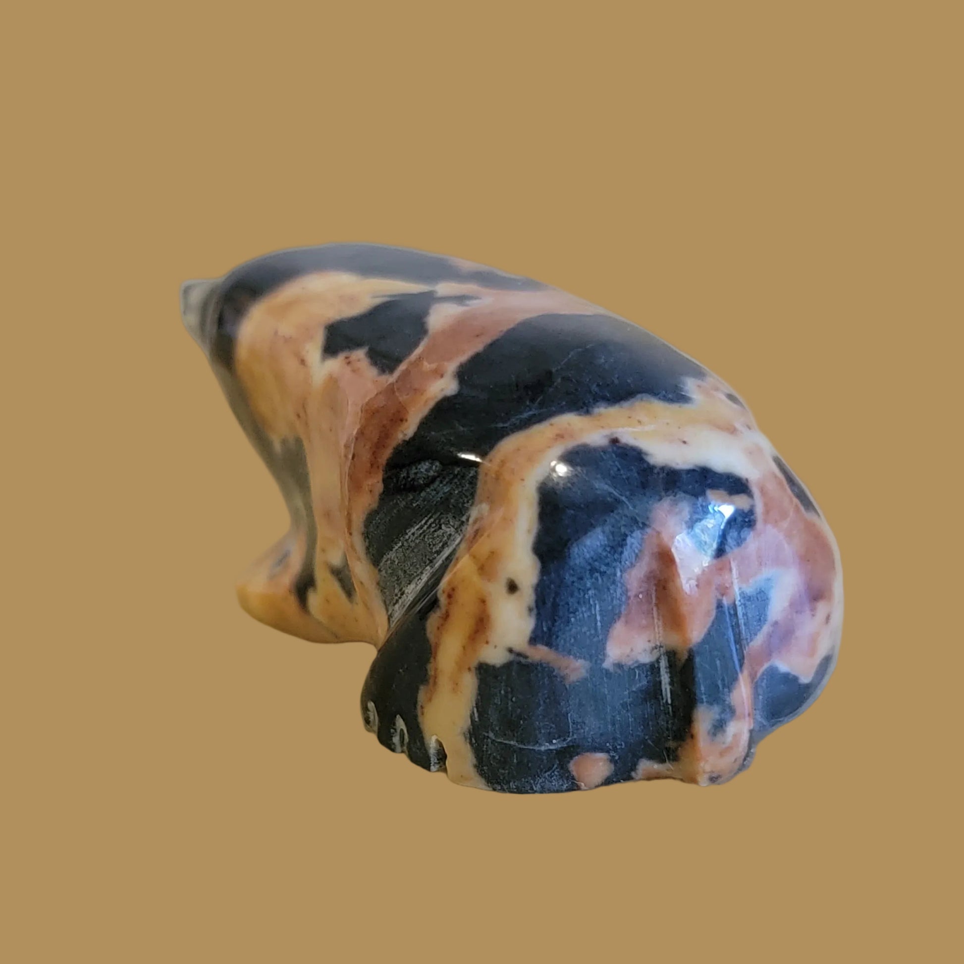 Orca Agate Mole Zuni Fetish