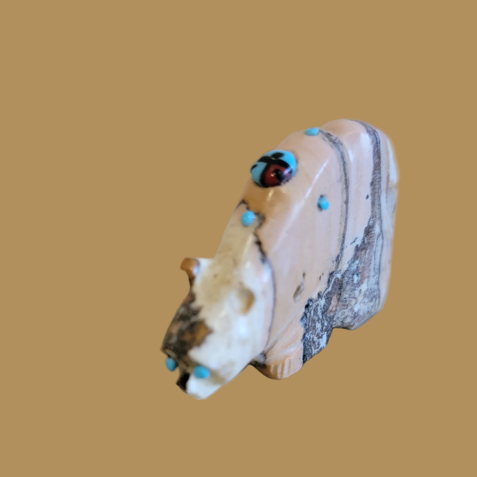 Agate Grizzly Bear on the Scent w/Zuni Sun Zuni Fetish