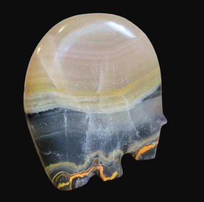 Bumblebee Jasper Classic Zuni Fetish Medicine Bear