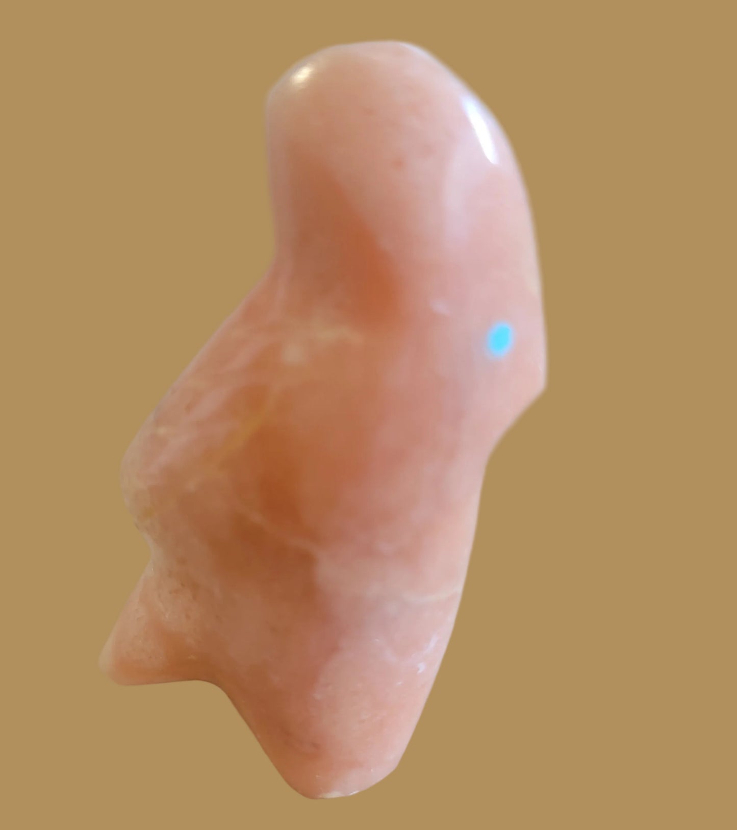 Orange Alabaster Cardinal Zuni Fetish