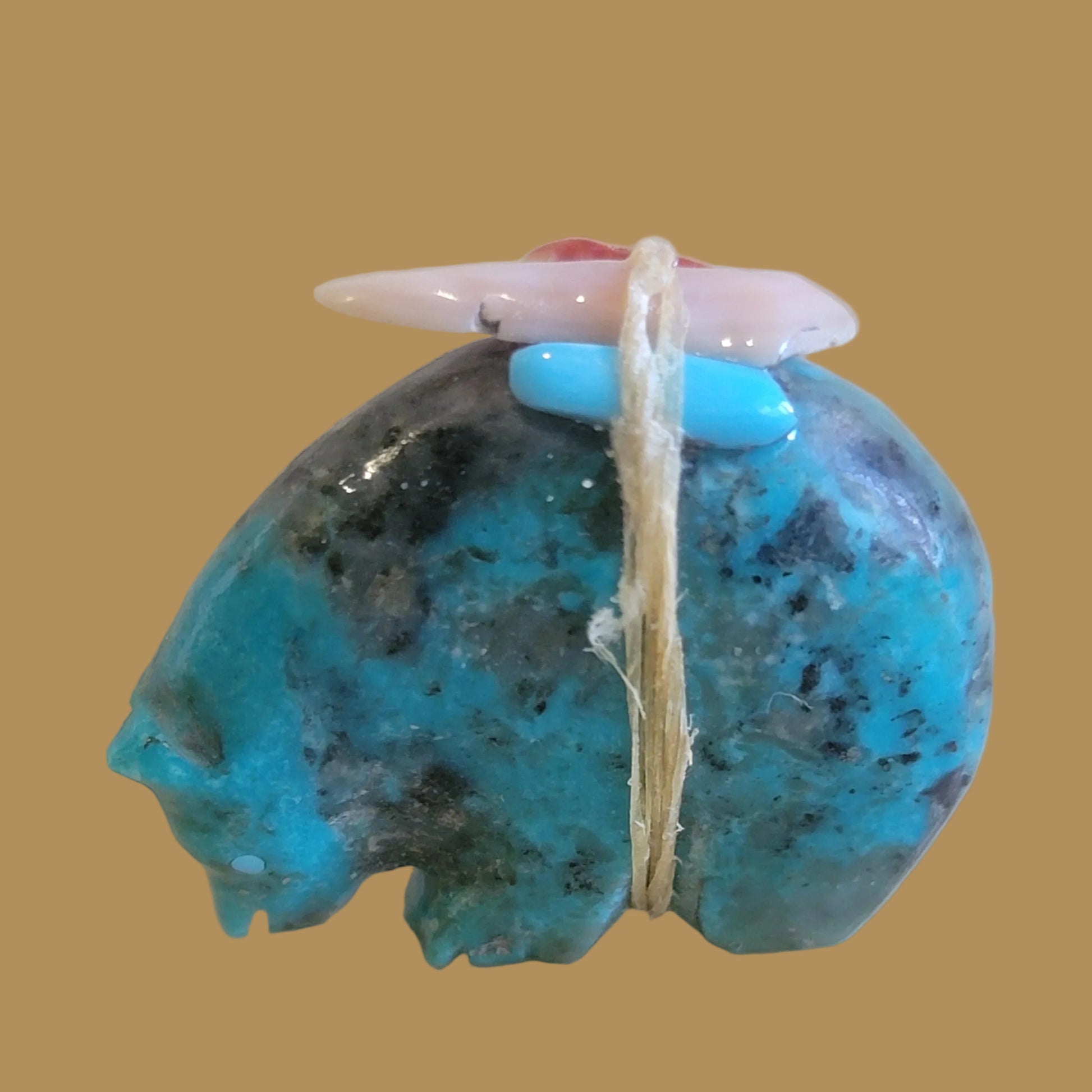 Turquoise Medicine Bear w/Pack Zuni Fetish