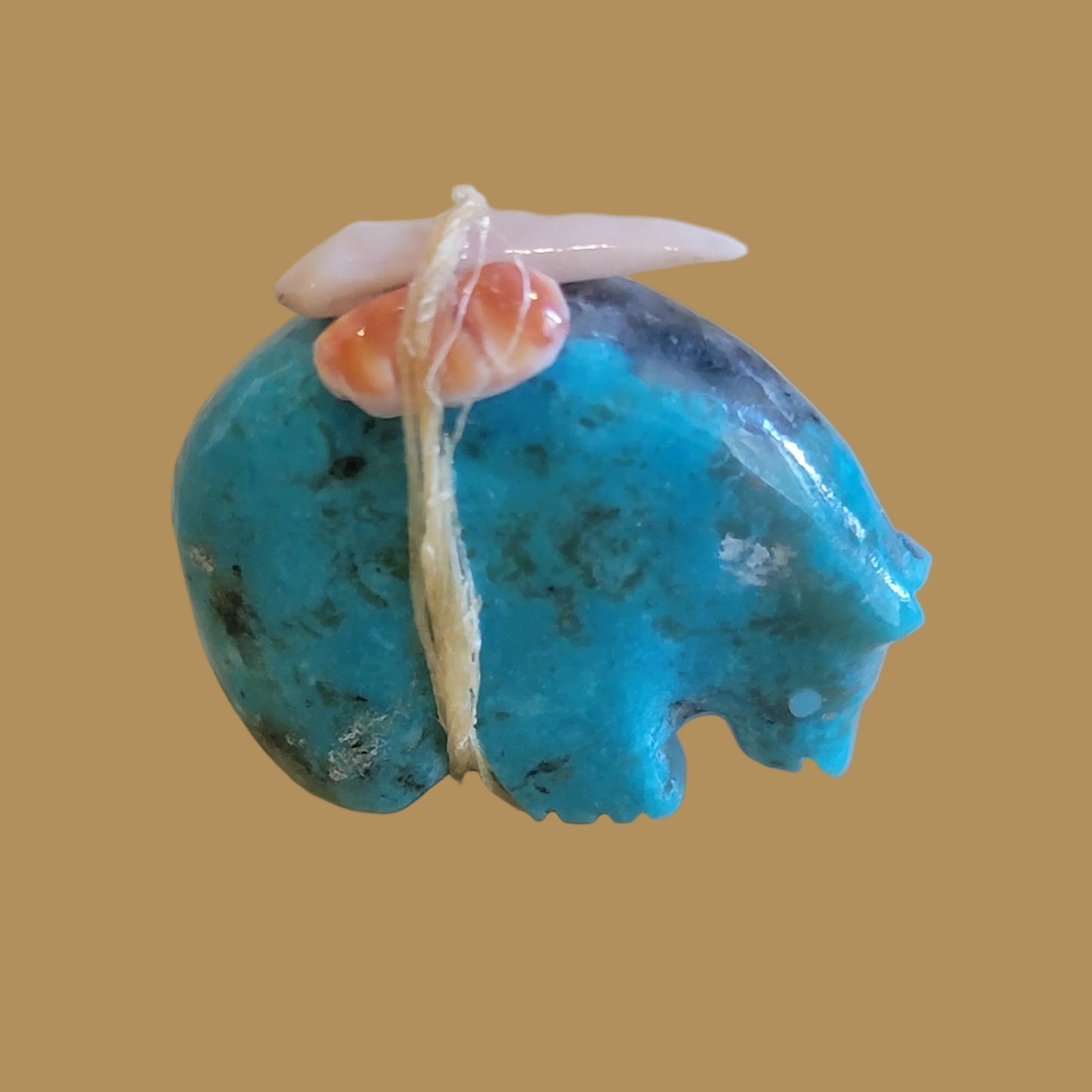 Turquoise Medicine Bear w/Pack Zuni Fetish