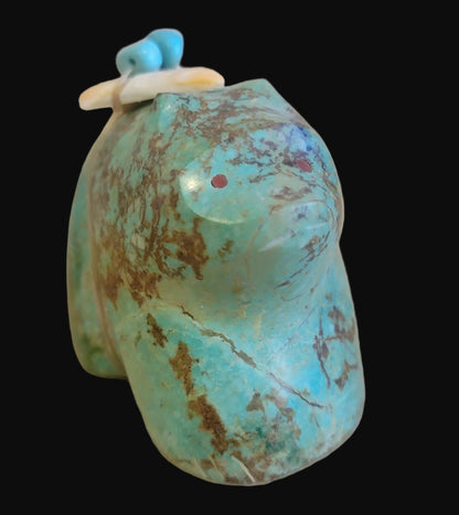 Turquoise Sitting Bear Zuni Fetish