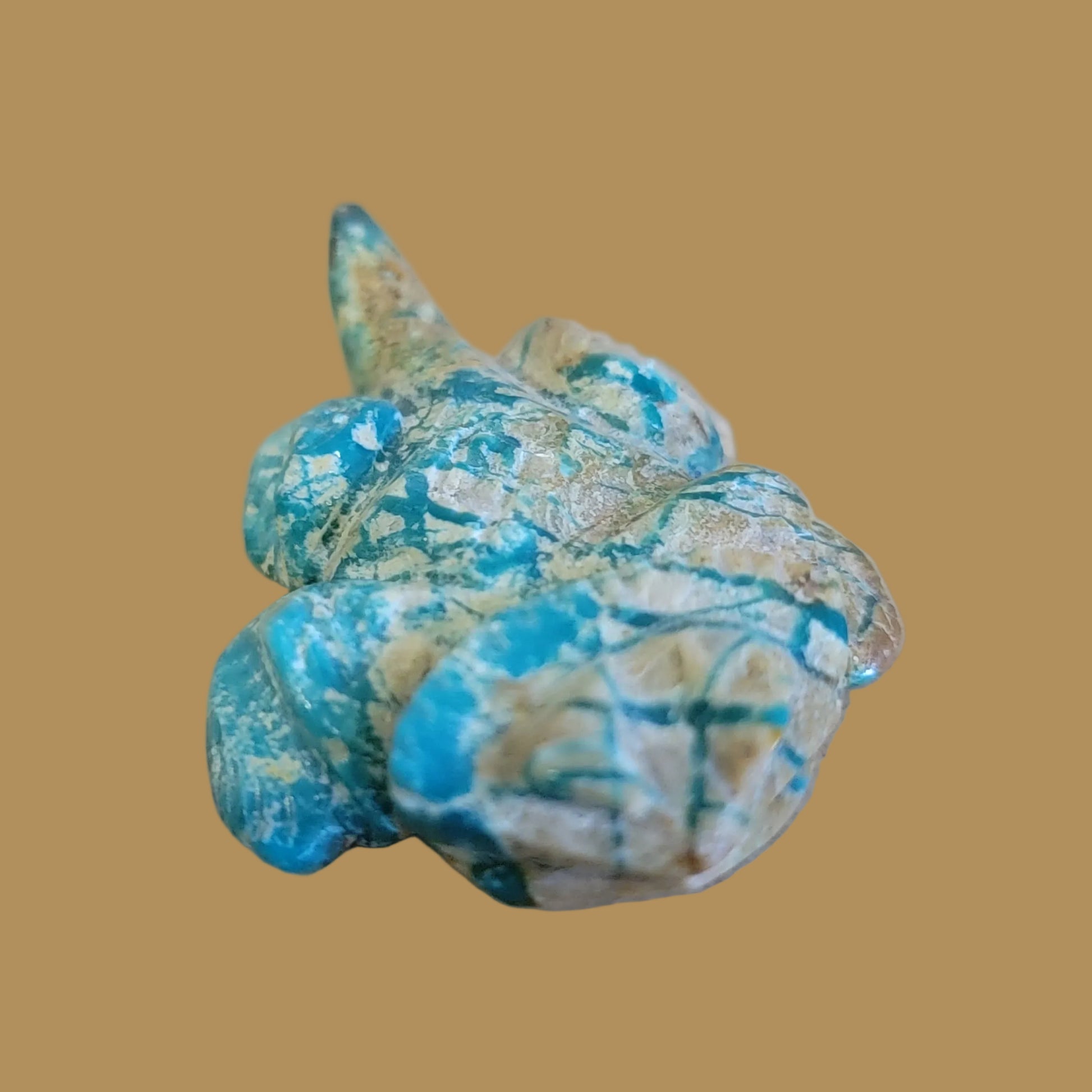 Amazonite Navajo Horned Toad Lizard Zuni Fetish