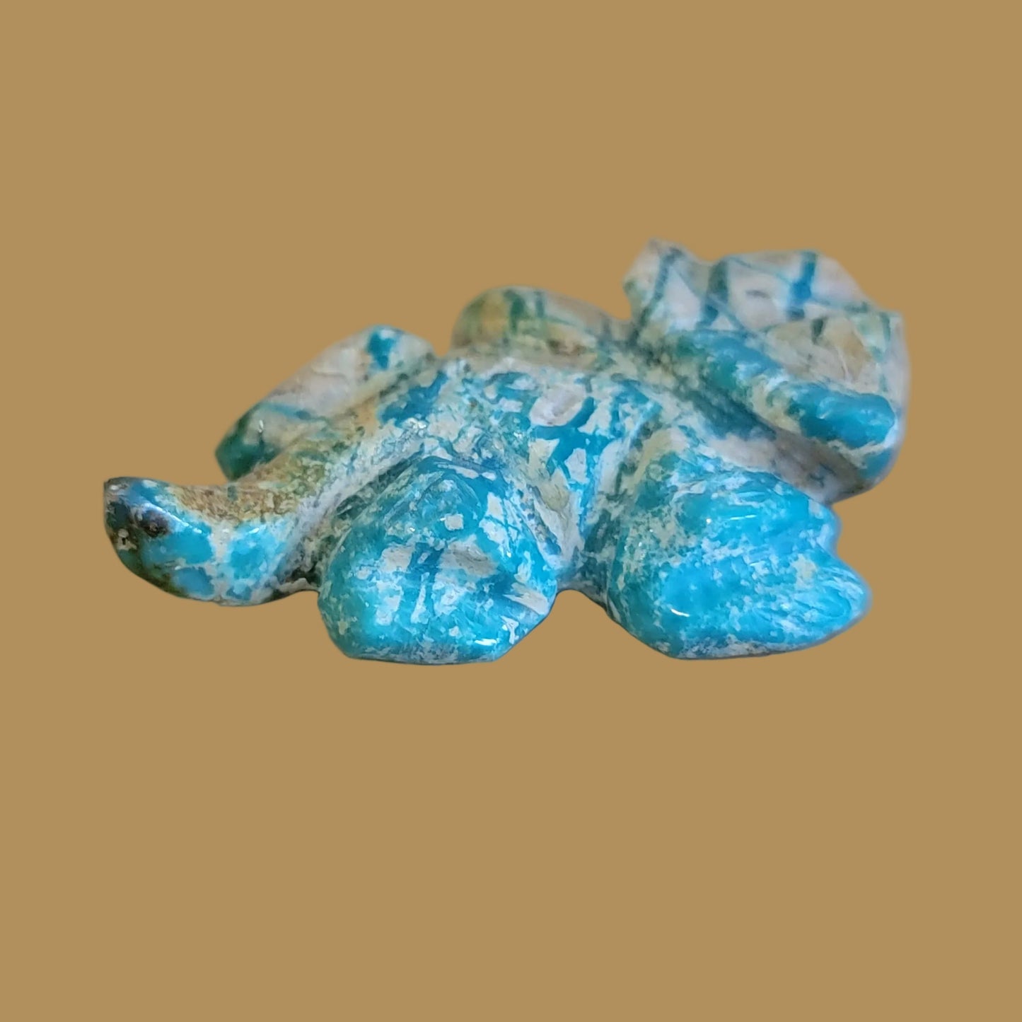 Amazonite Navajo Horned Toad Lizard Zuni Fetish