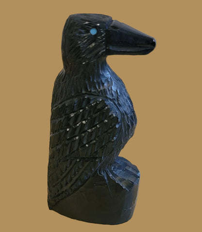 Healing Jet Raven Zuni Fetish