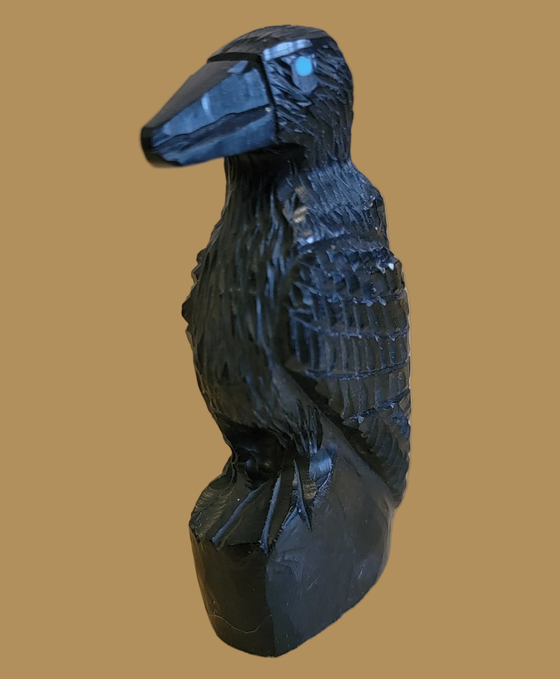 Healing Jet Raven Zuni Fetish