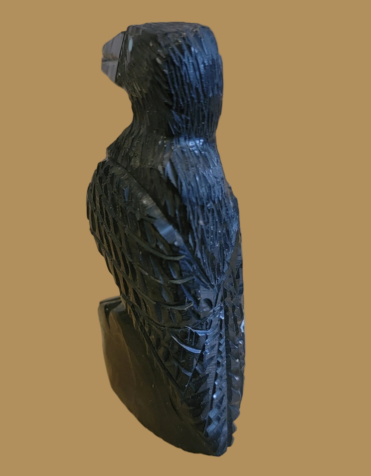 Healing Jet Raven Zuni Fetish