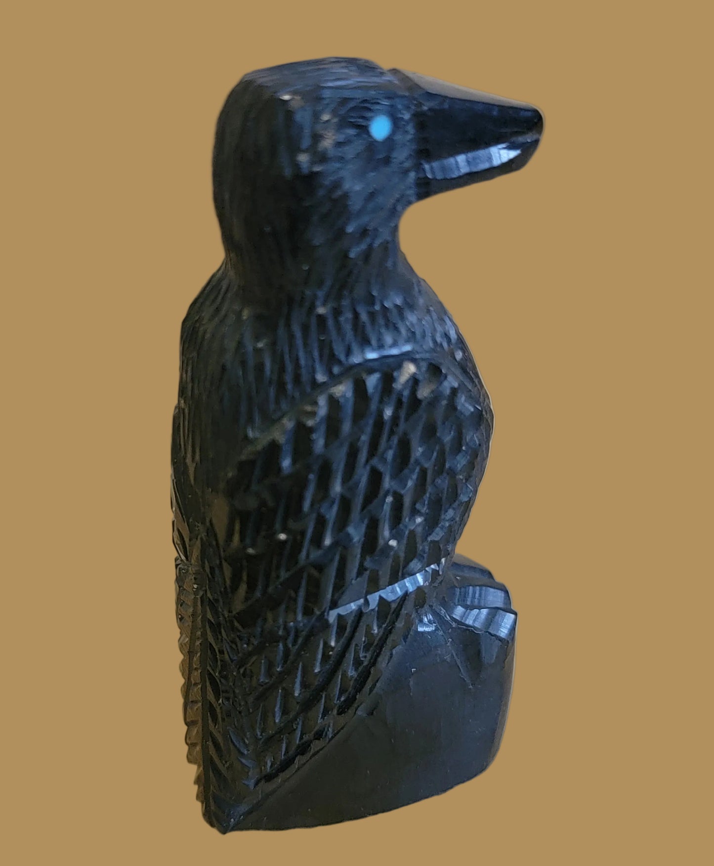 Healing Jet Raven Zuni Fetish