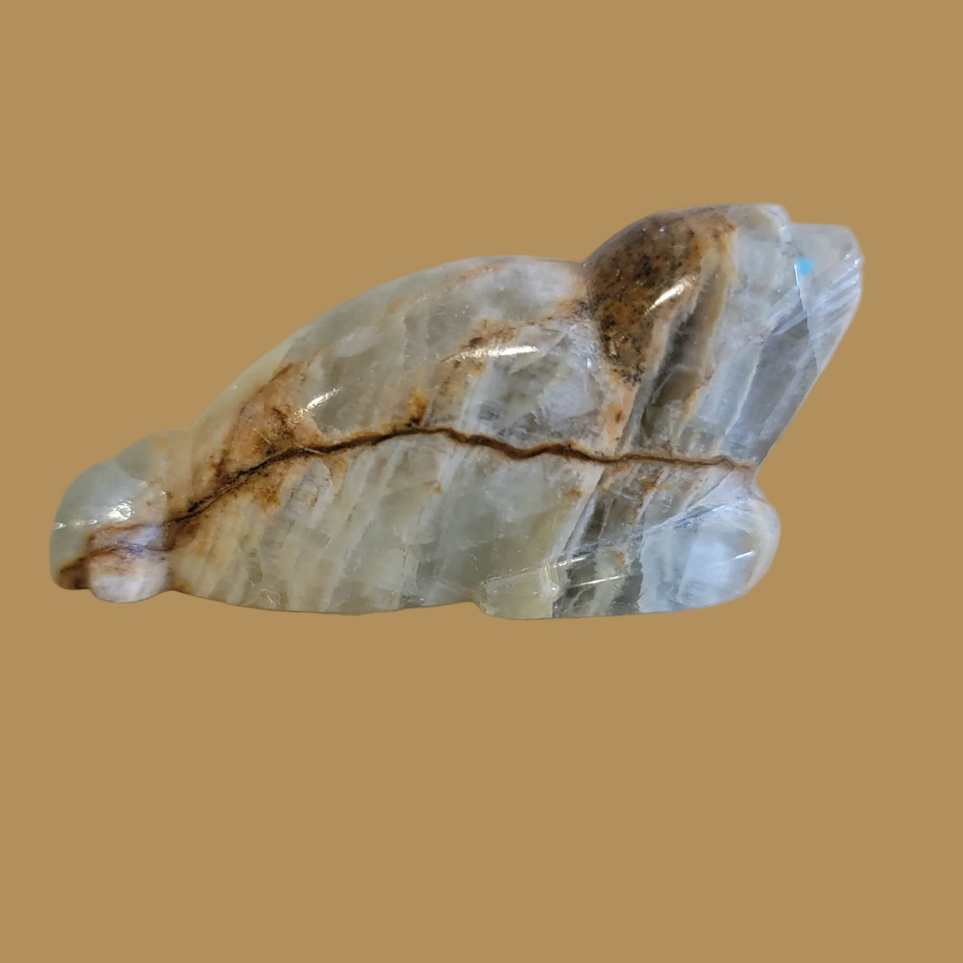 Onyx Seal w/ Heartline Zuni  Fetish