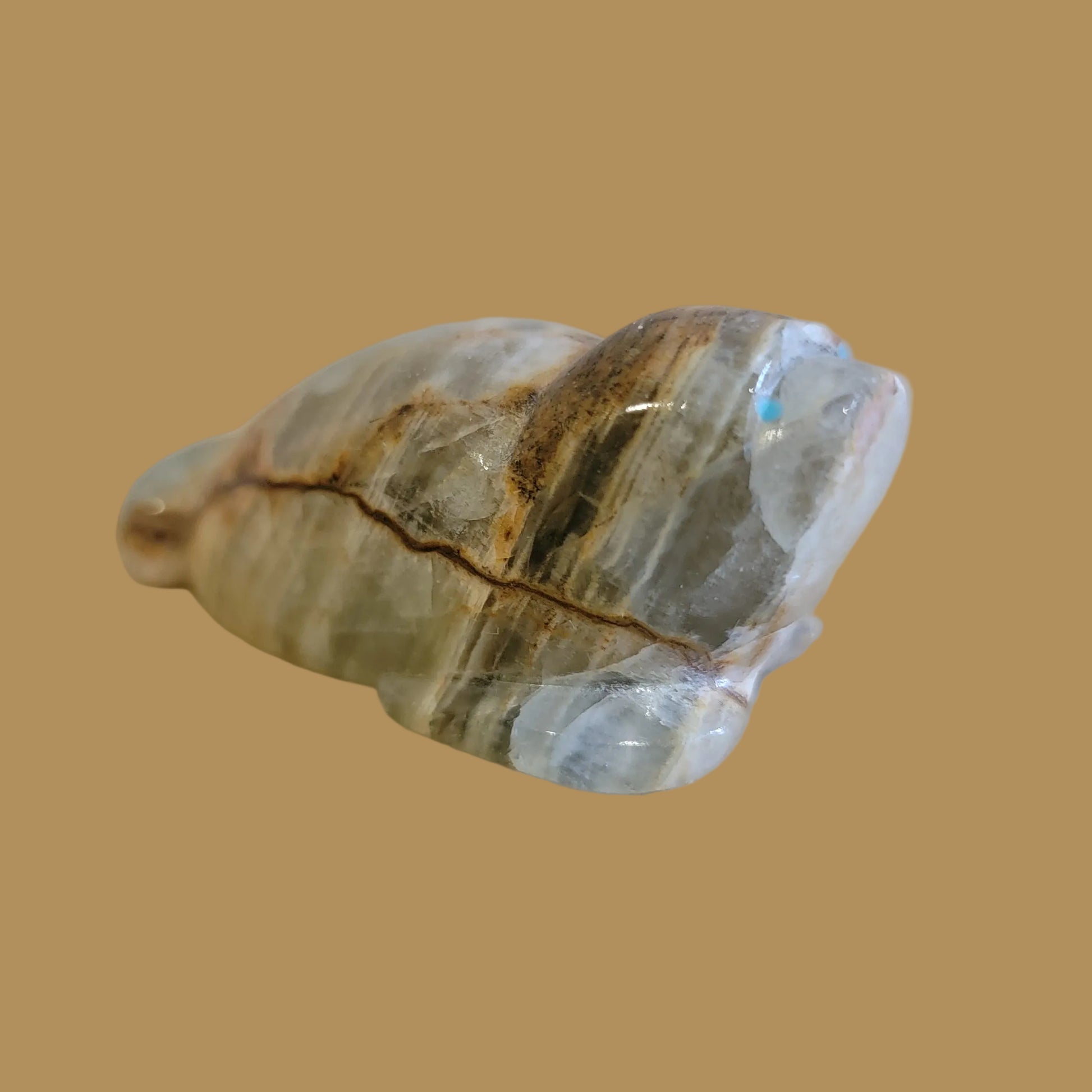 Onyx Seal w/ Heartline Zuni  Fetish