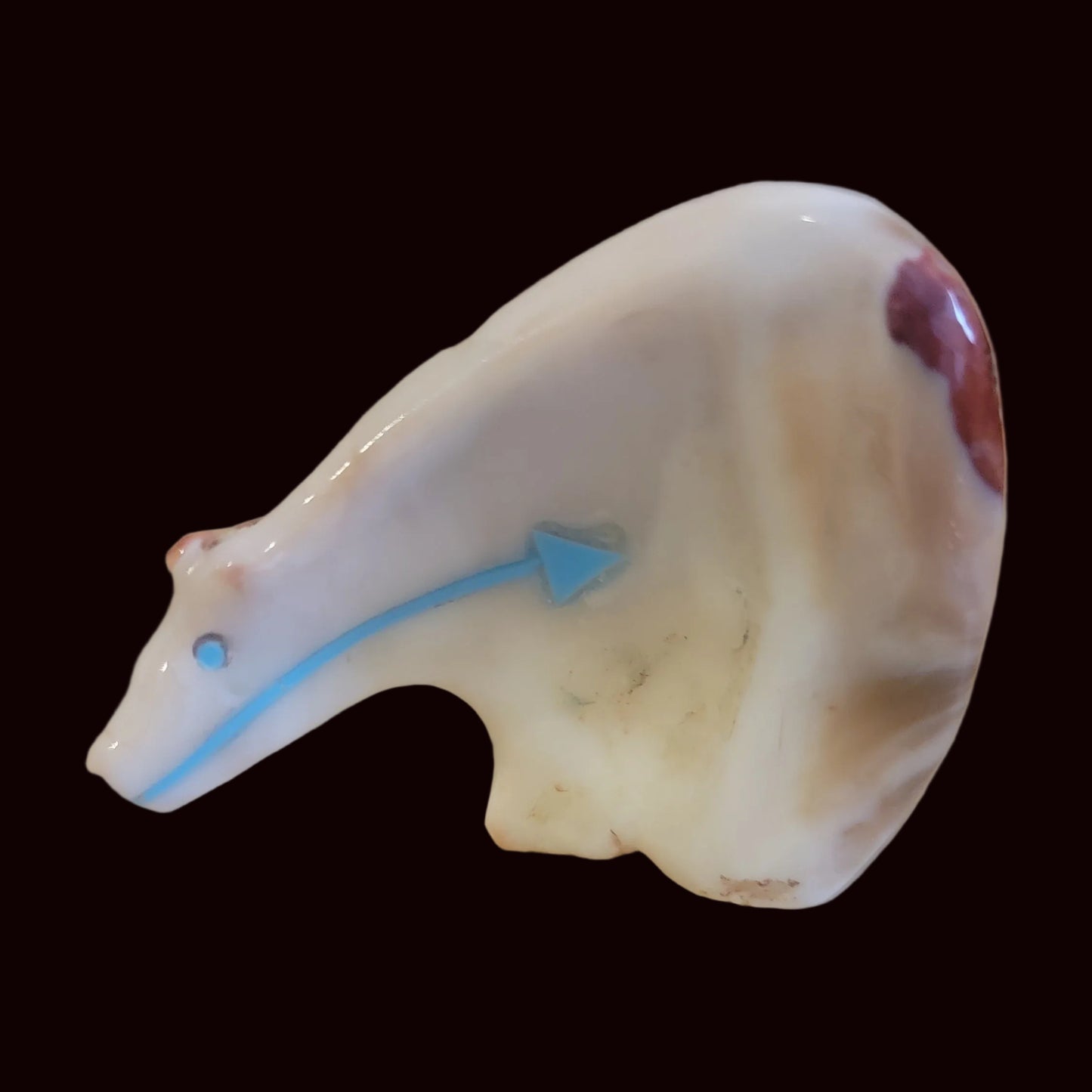 Spiny Oyster Shell Medicine Bear Zun Fetish