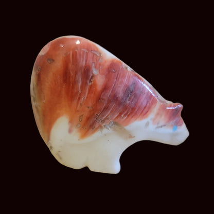 Spiny Oyster Shell Medicine Bear Zun Fetish