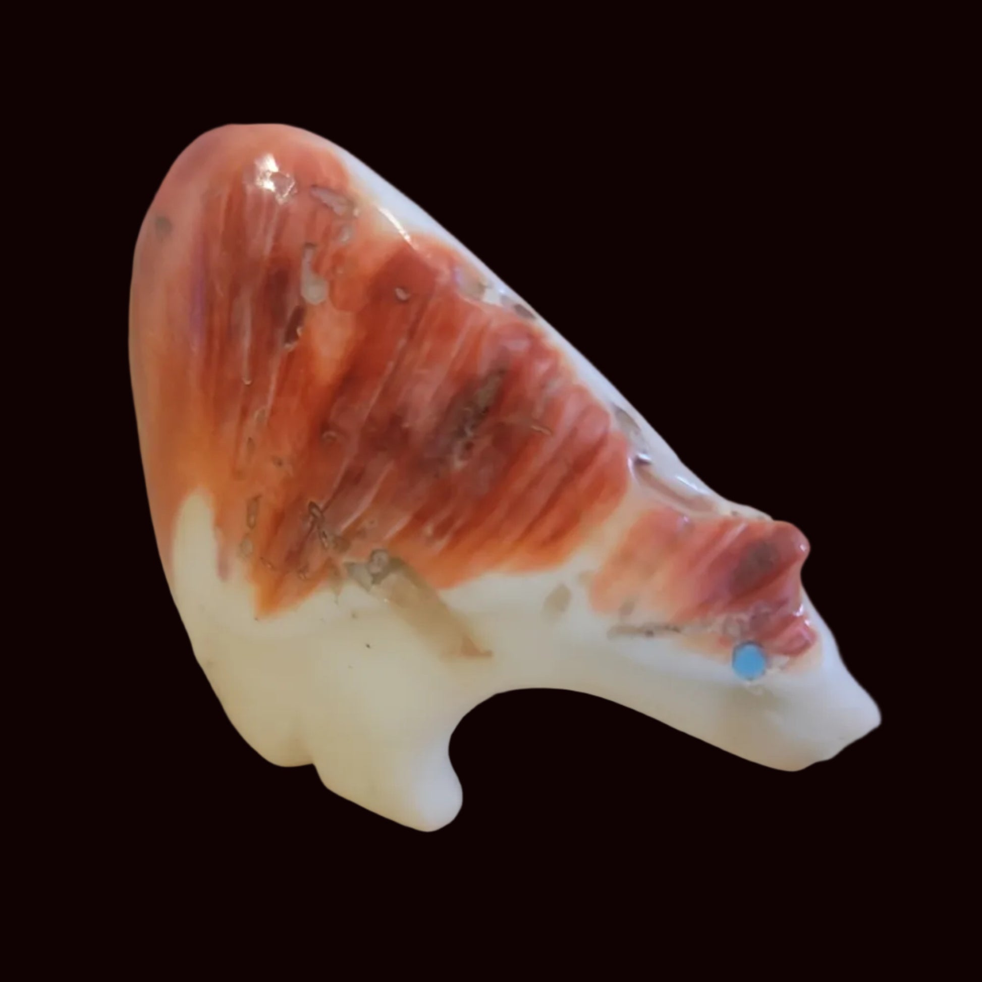 Spiny Oyster Shell Medicine Bear Zun Fetish