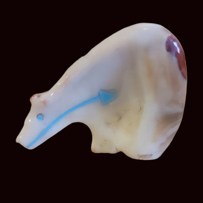 Spiny Oyster Shell Medicine Bear Zun Fetish