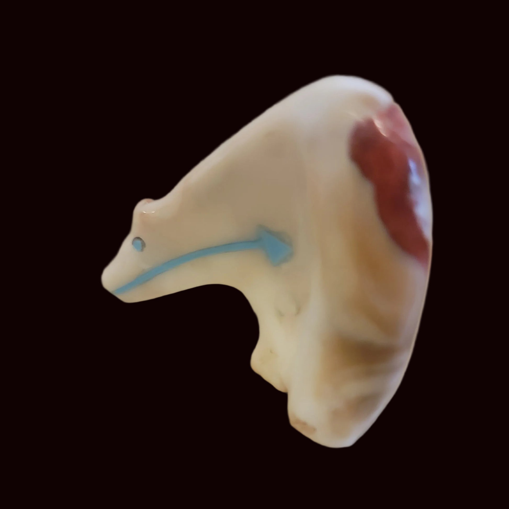 Spiny Oyster Shell Medicine Bear Zun Fetish