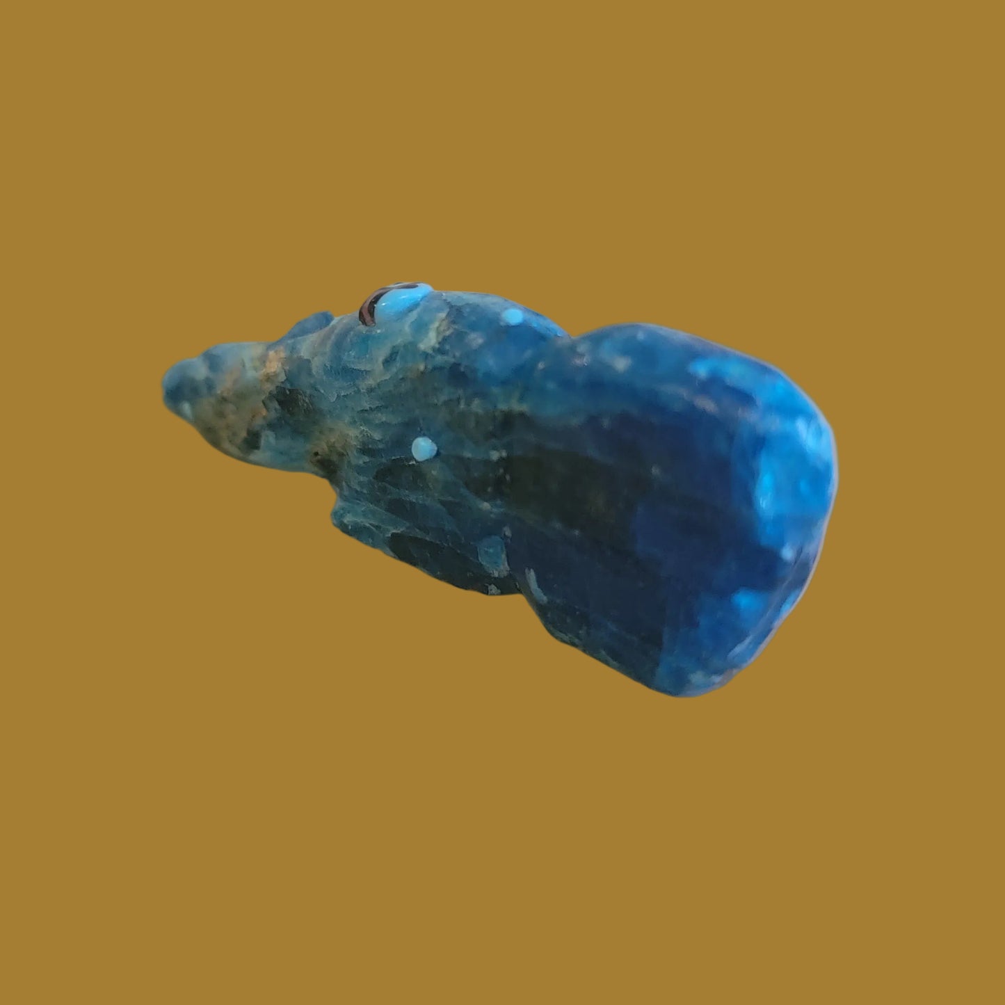 Blue Optic Hunting Bear w/ Zuni Sun Zuni Fetish