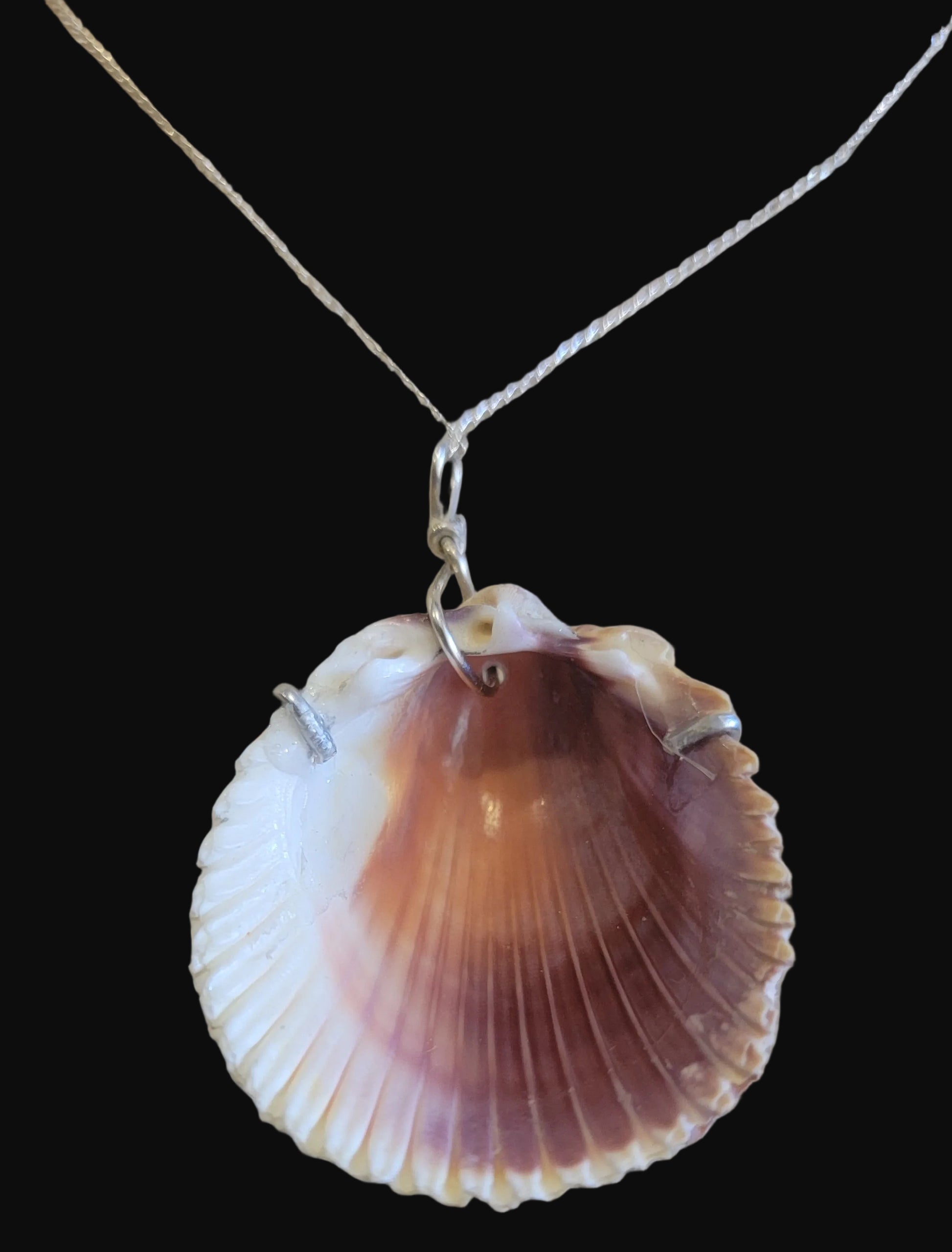 Santa Clara Pueblo Beaded Shell Necklace w/Sterling Chain Indian Beadwork/Jewelry