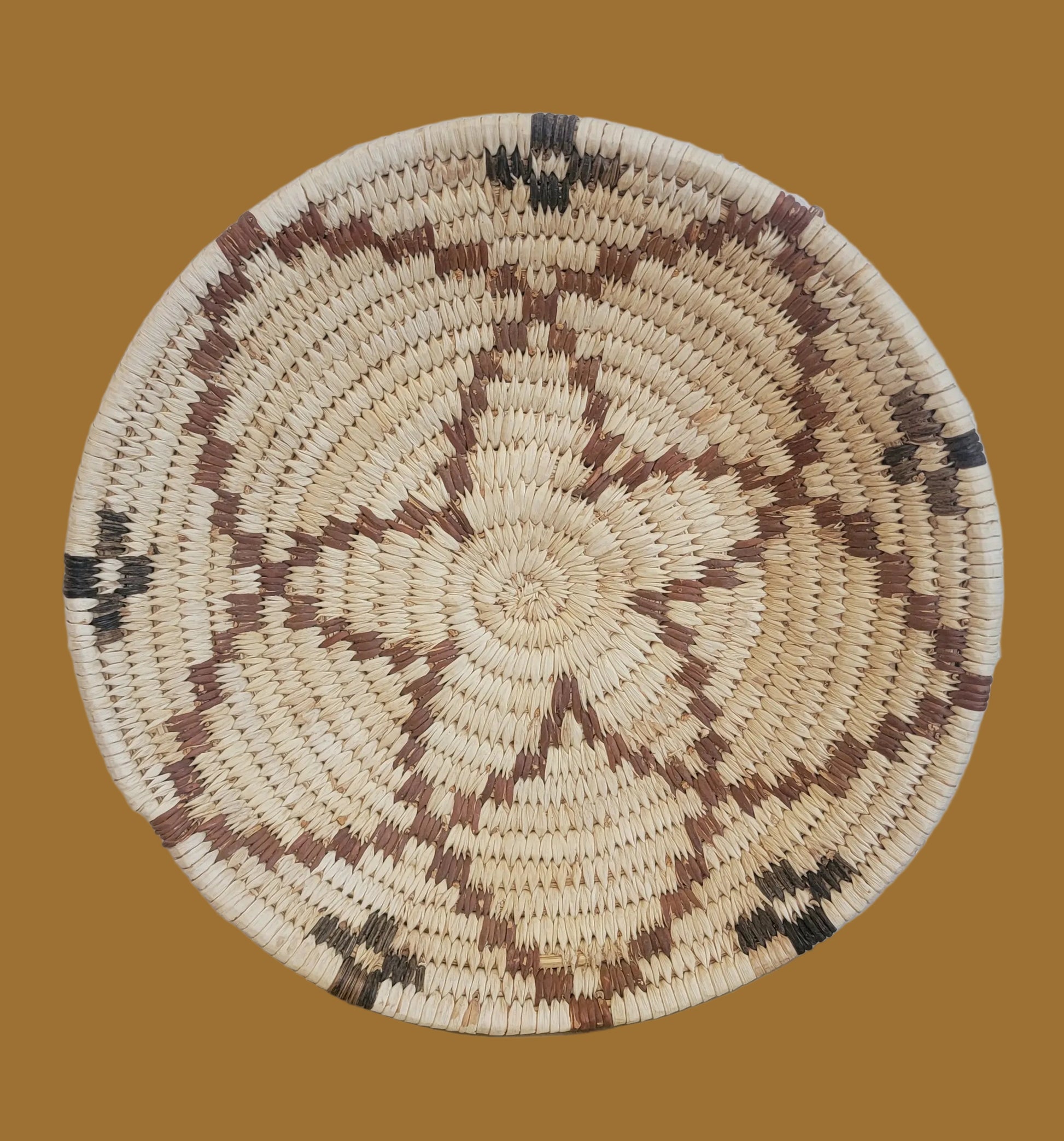 Papago/ Tohono O'Odham Coiled Squash Blossom Pattern Indian Basket