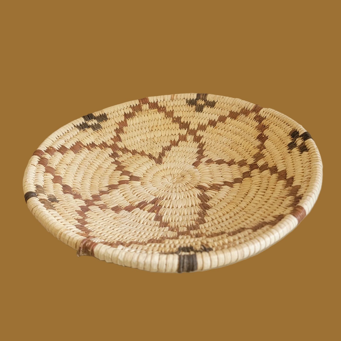 Papago/ Tohono O'Odham Coiled Squash Blossom Pattern Indian Basket