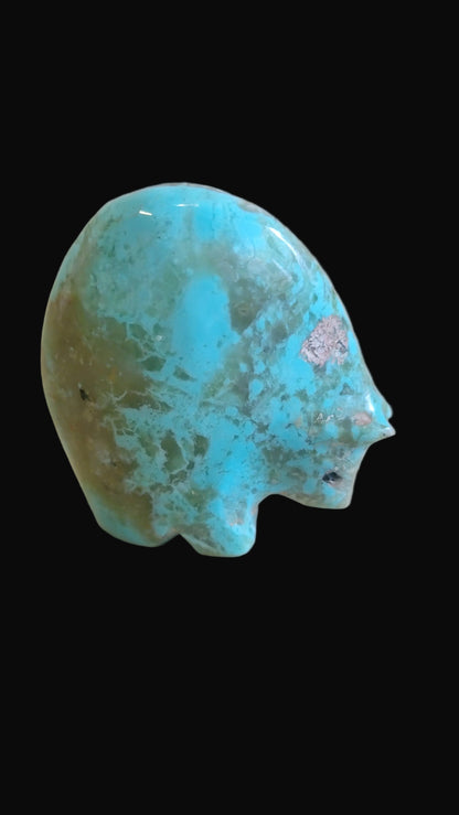 Turquoise W/Coral Medicine Bear Zuni Fetish