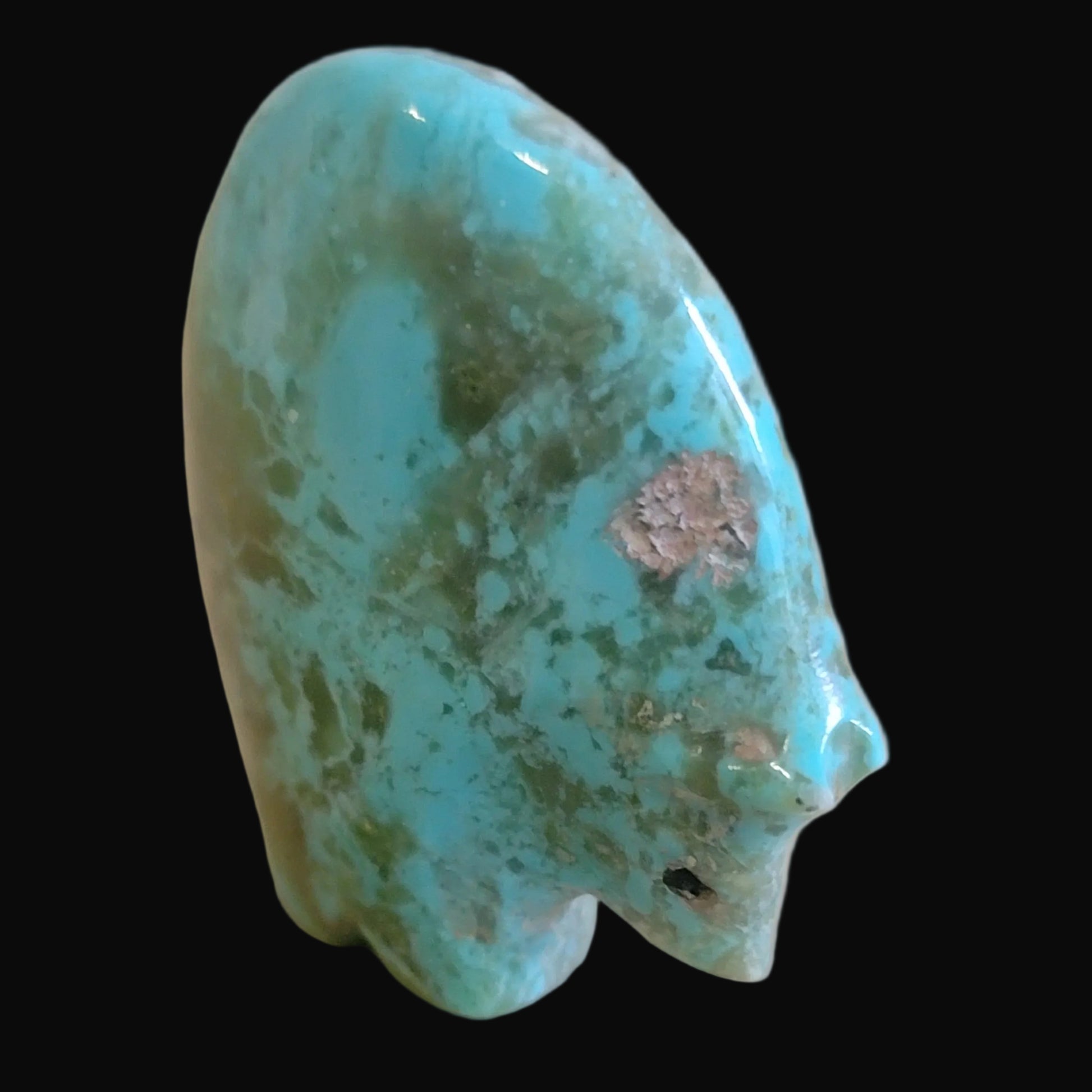 Turquoise W/Coral Medicine Bear Zuni Fetish