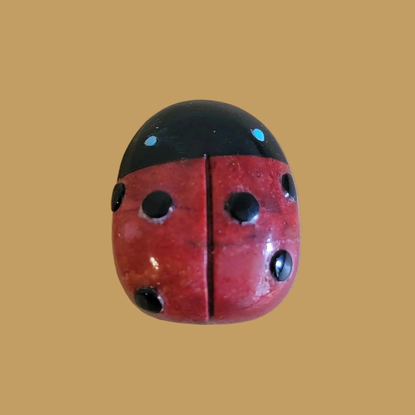 Apple Coral / Jet Spotted Ladybug Zuni Fetish